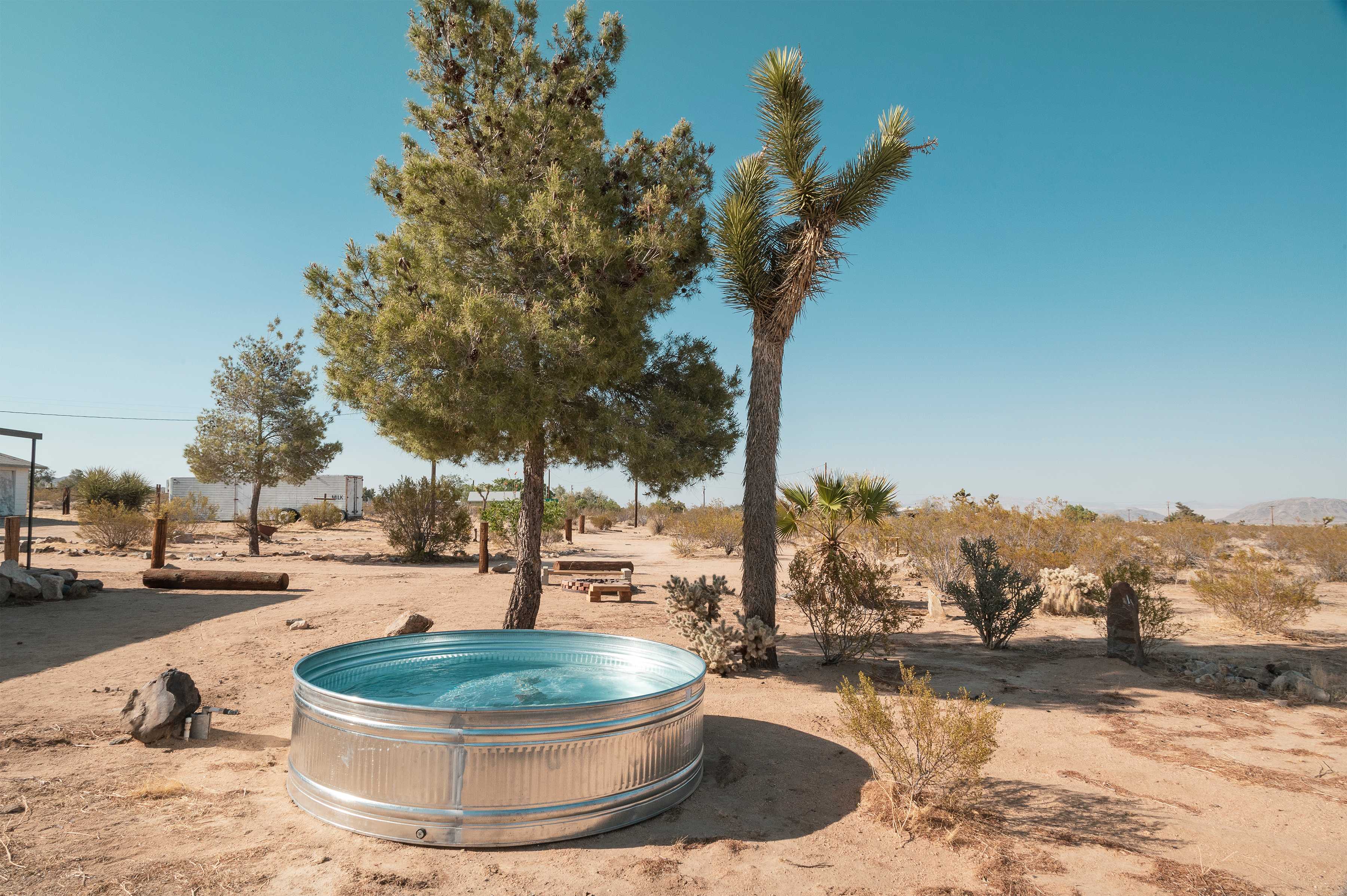 Mojave Desert Homestead