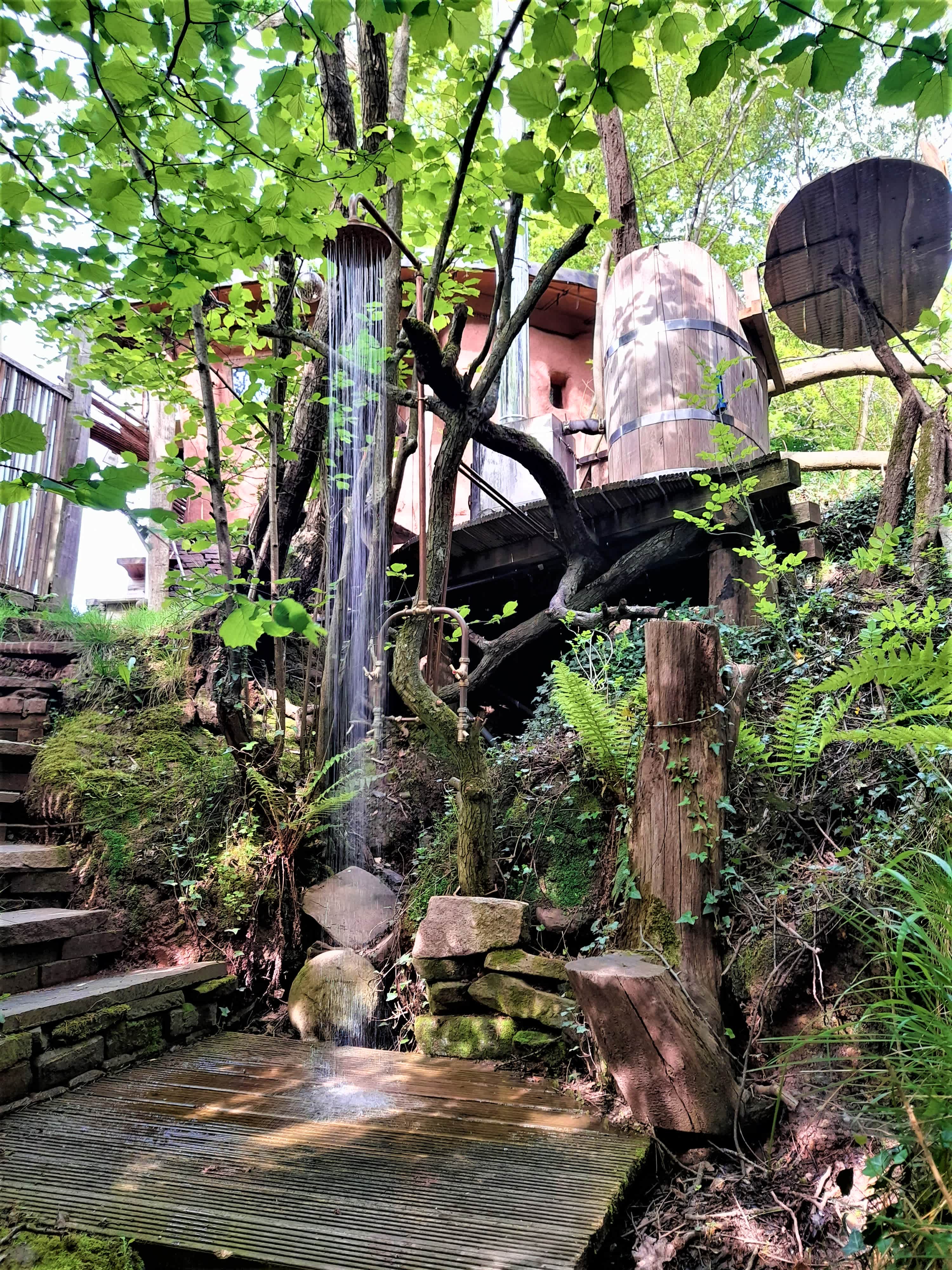 Goytree Glamping and Treehouses