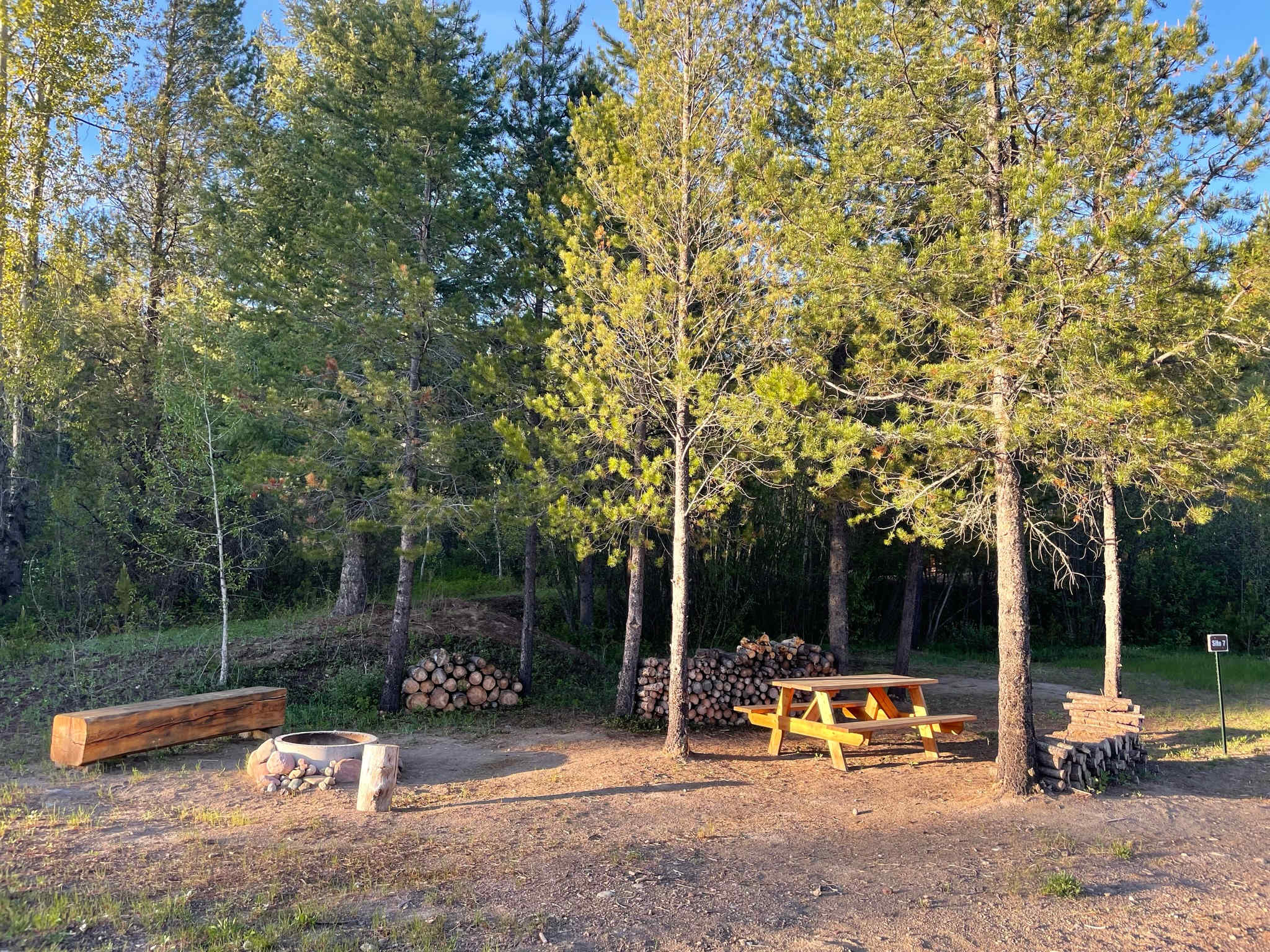 Picture of the site