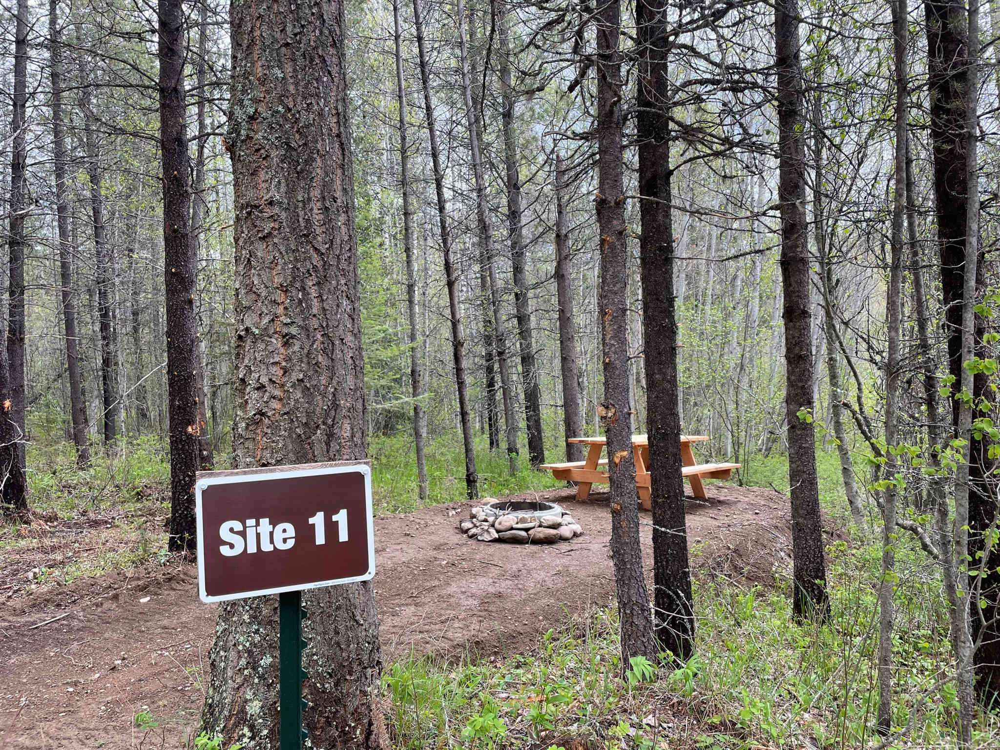 Picture of the site