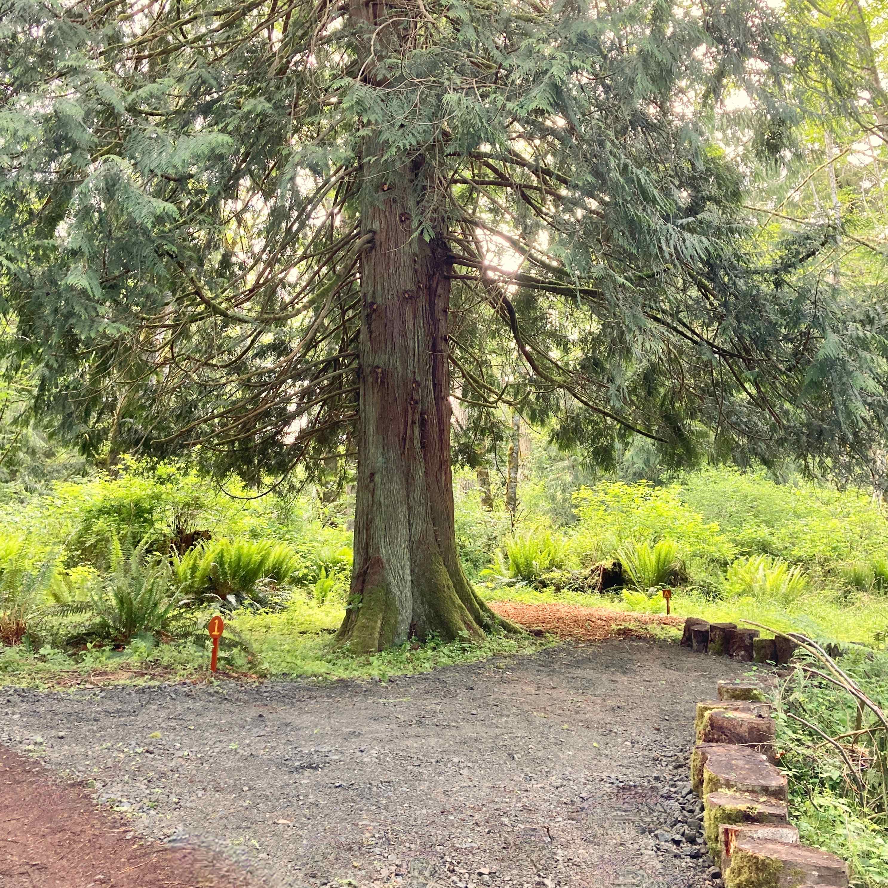 Site #1
