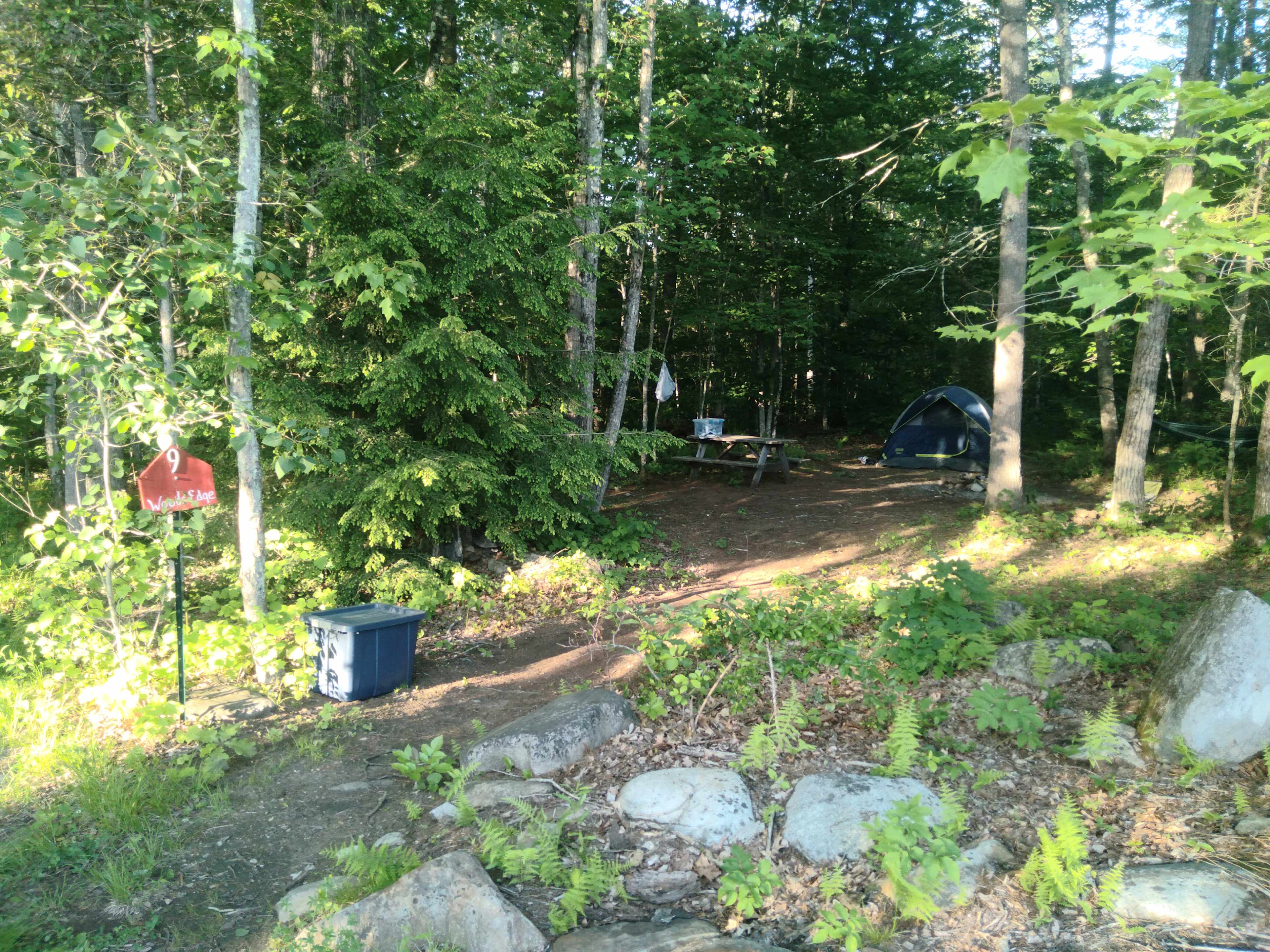 Picture of the site