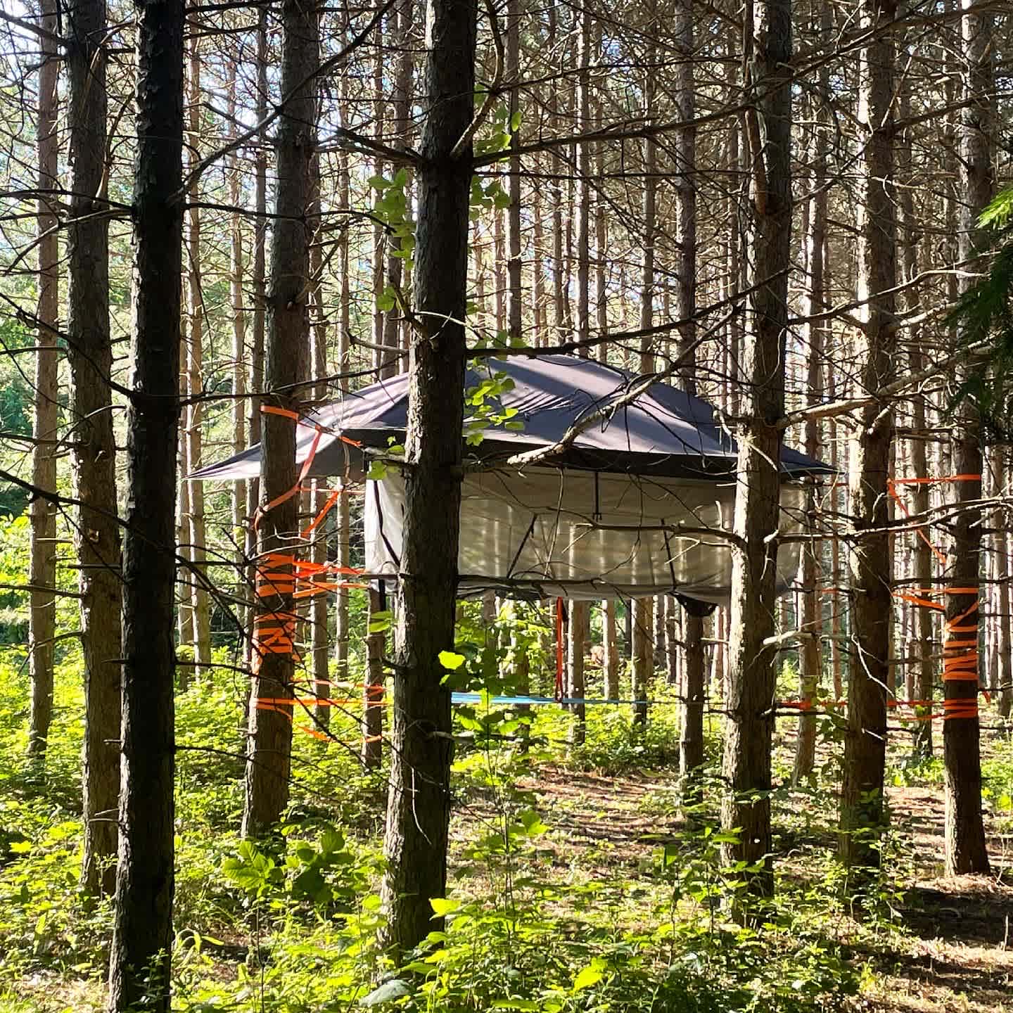 Camp SkyTent ⛺️