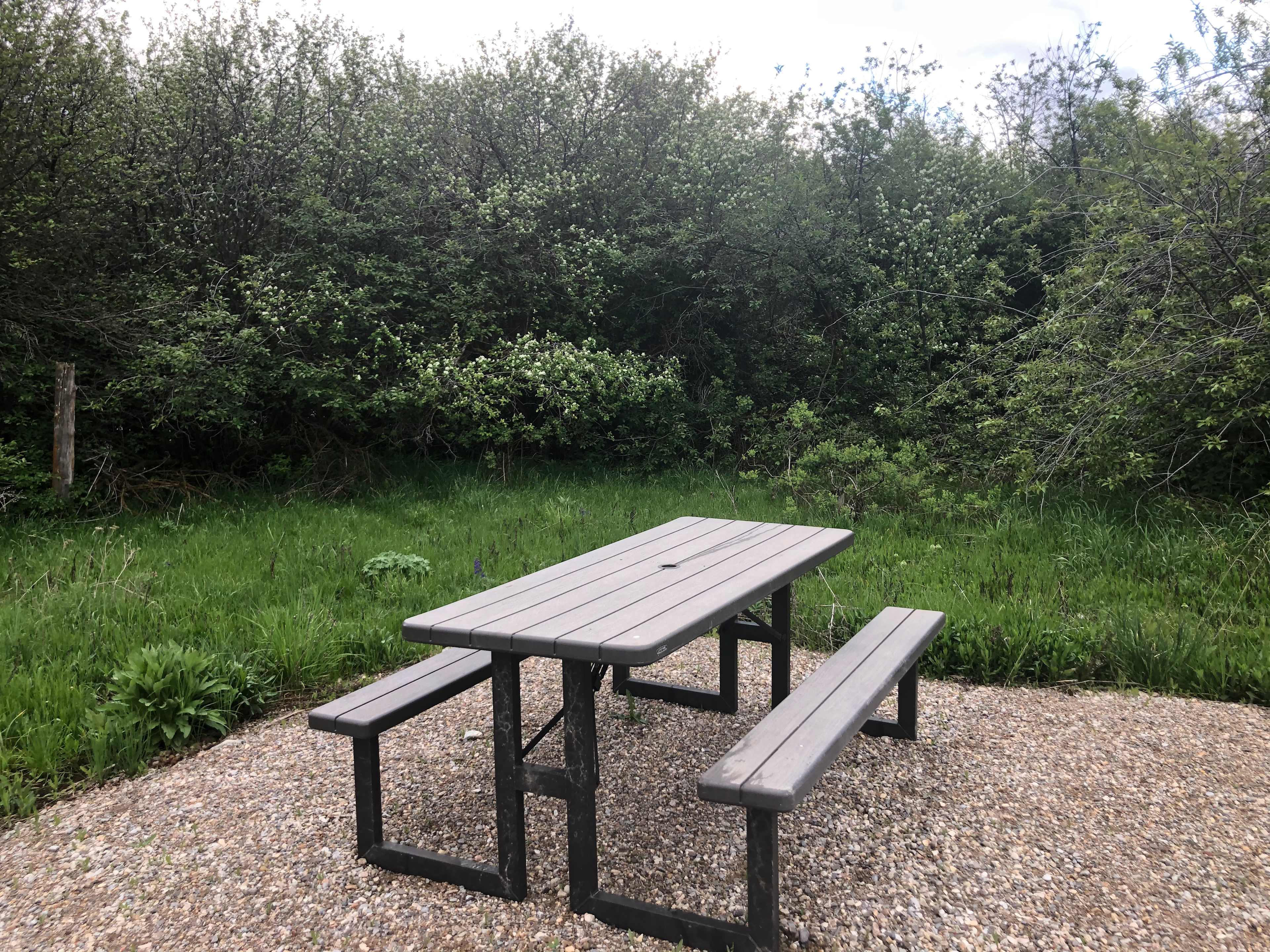 The picnic table. 