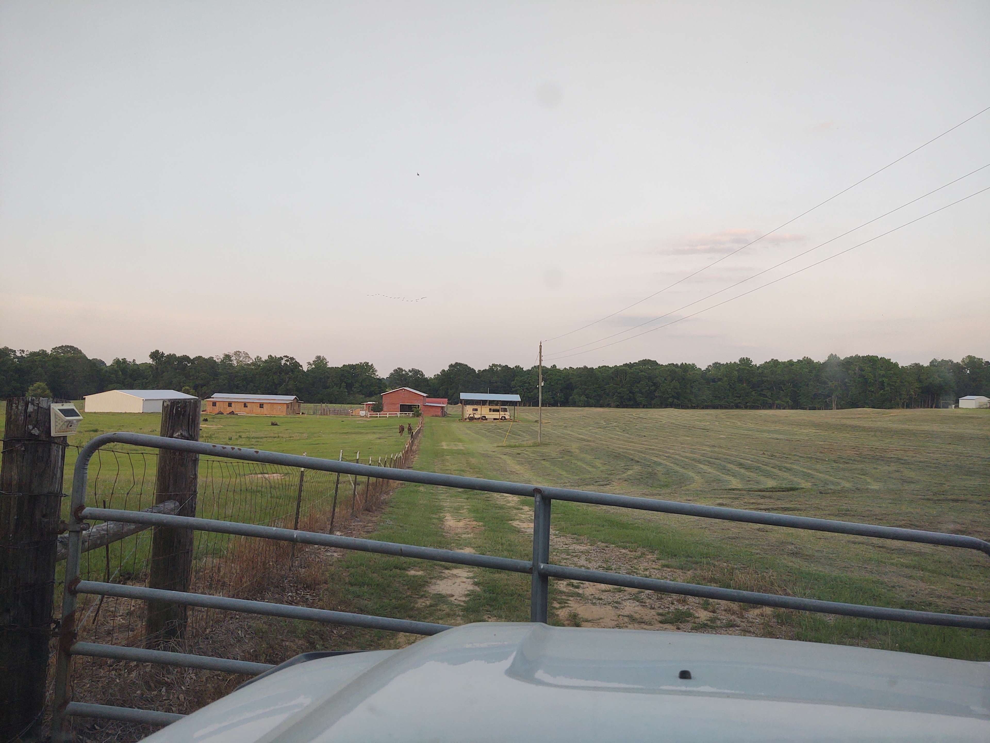 Picture of the site
