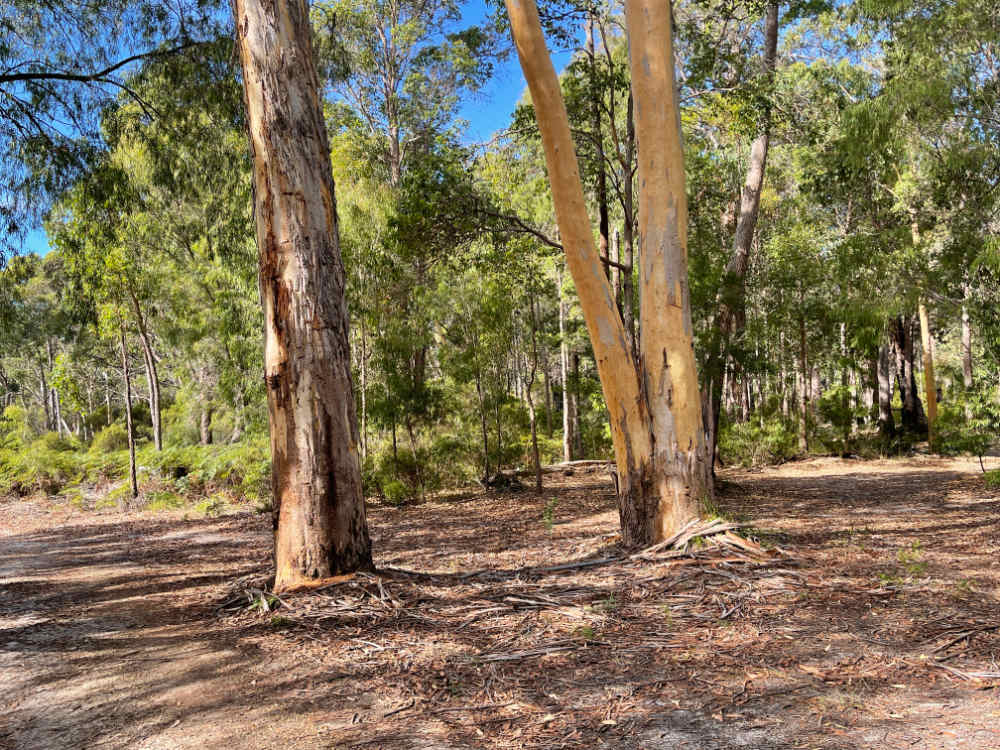 Northcliffe Deluxe Bush Camp