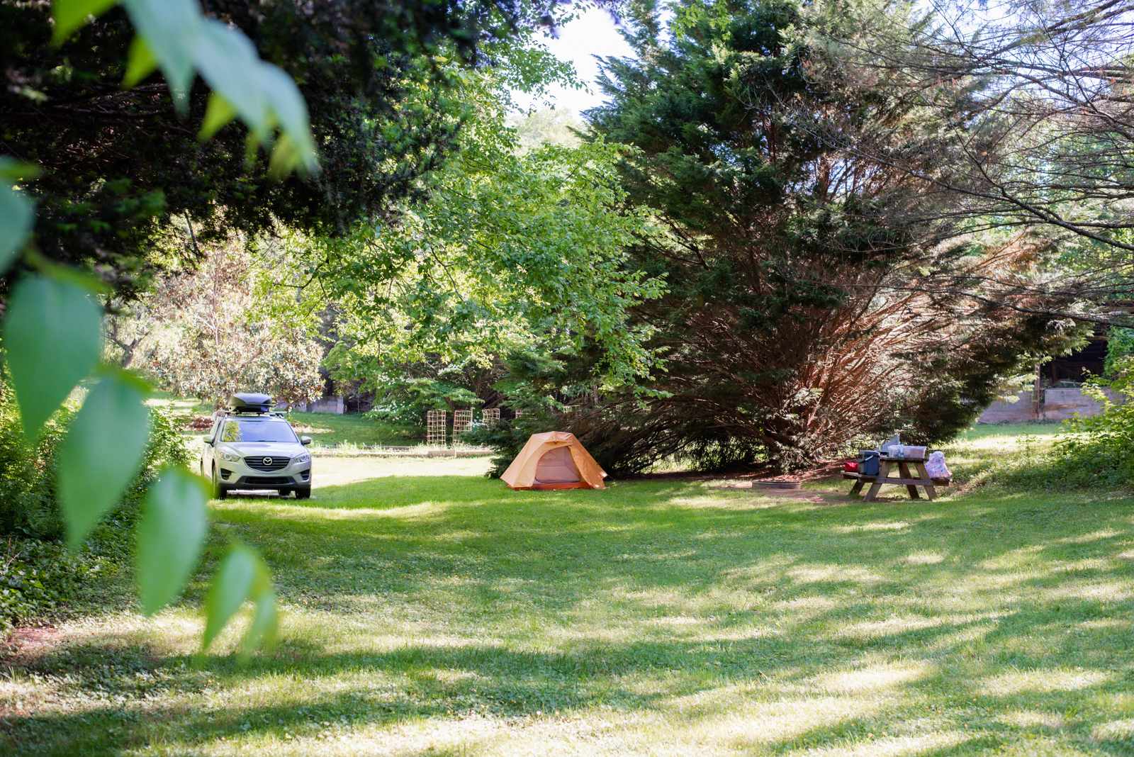 Harmony Glen