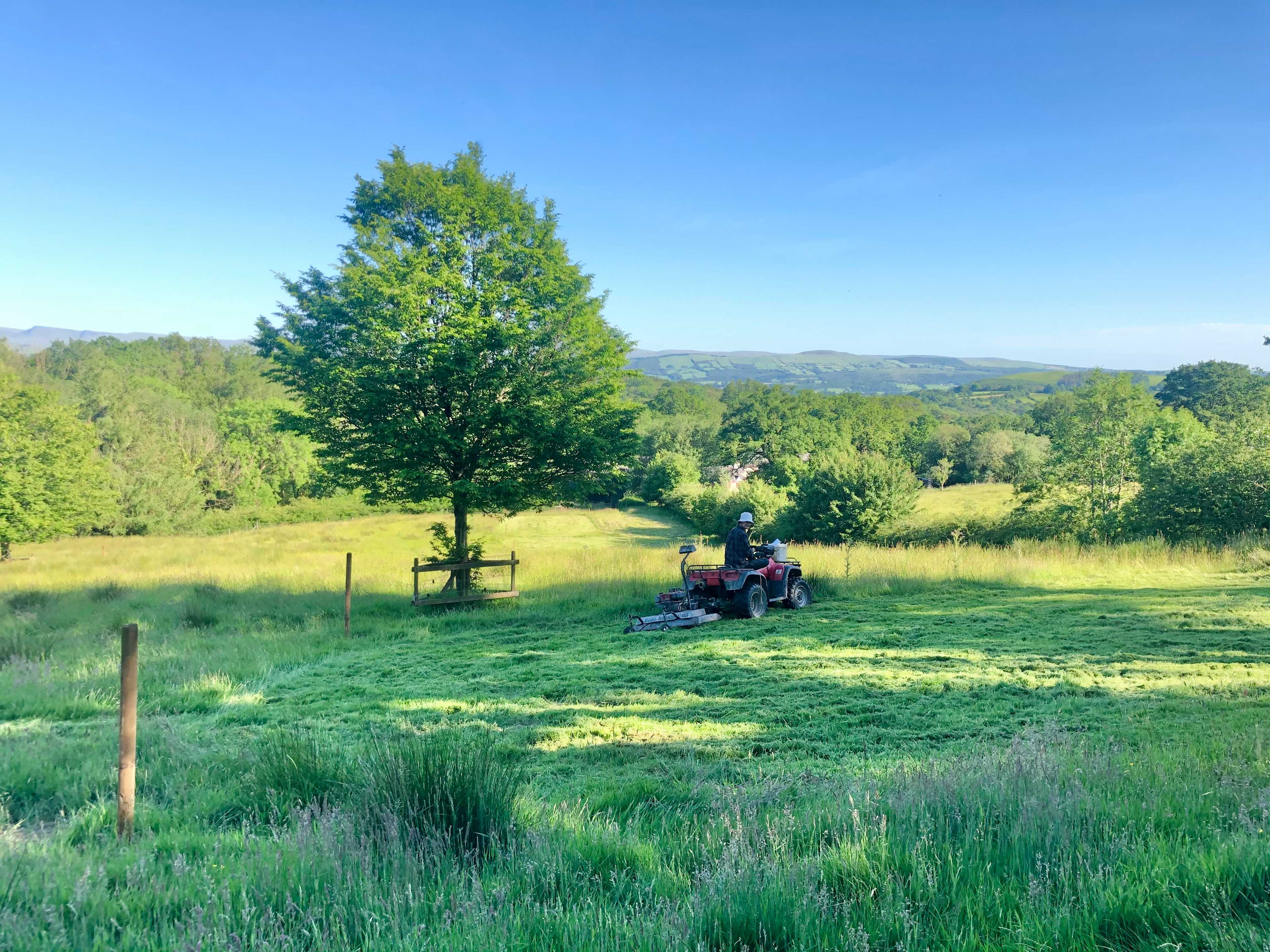 Picture of the site
