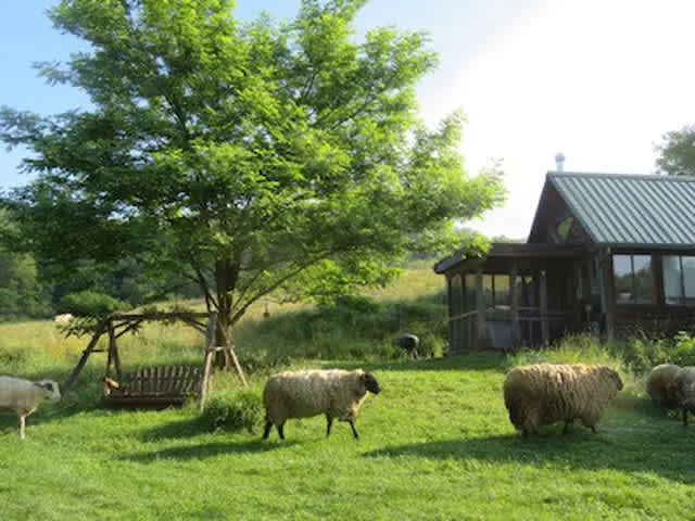 Echo Valley Farm
