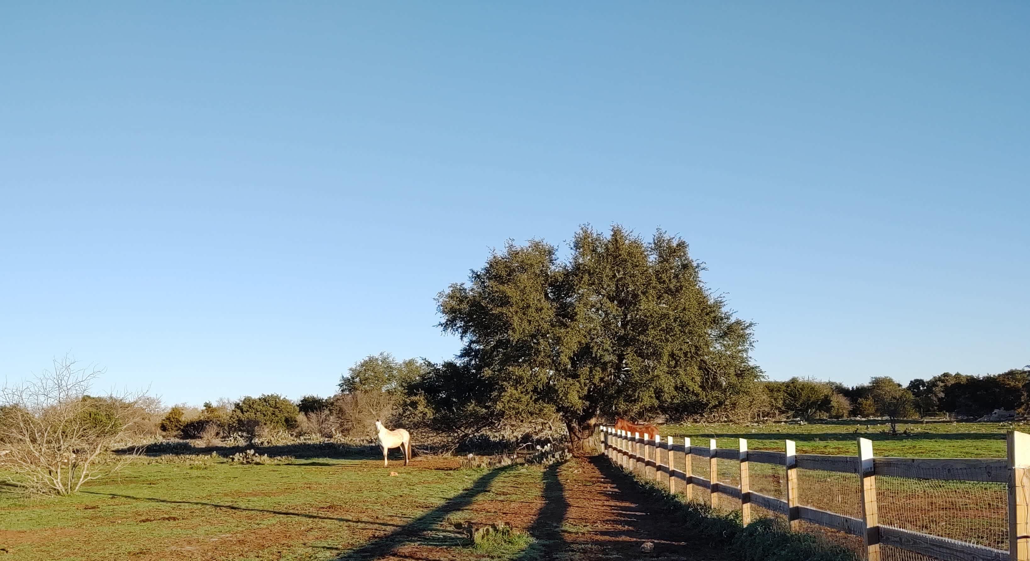 KW Equine Sanctuary and Ranch