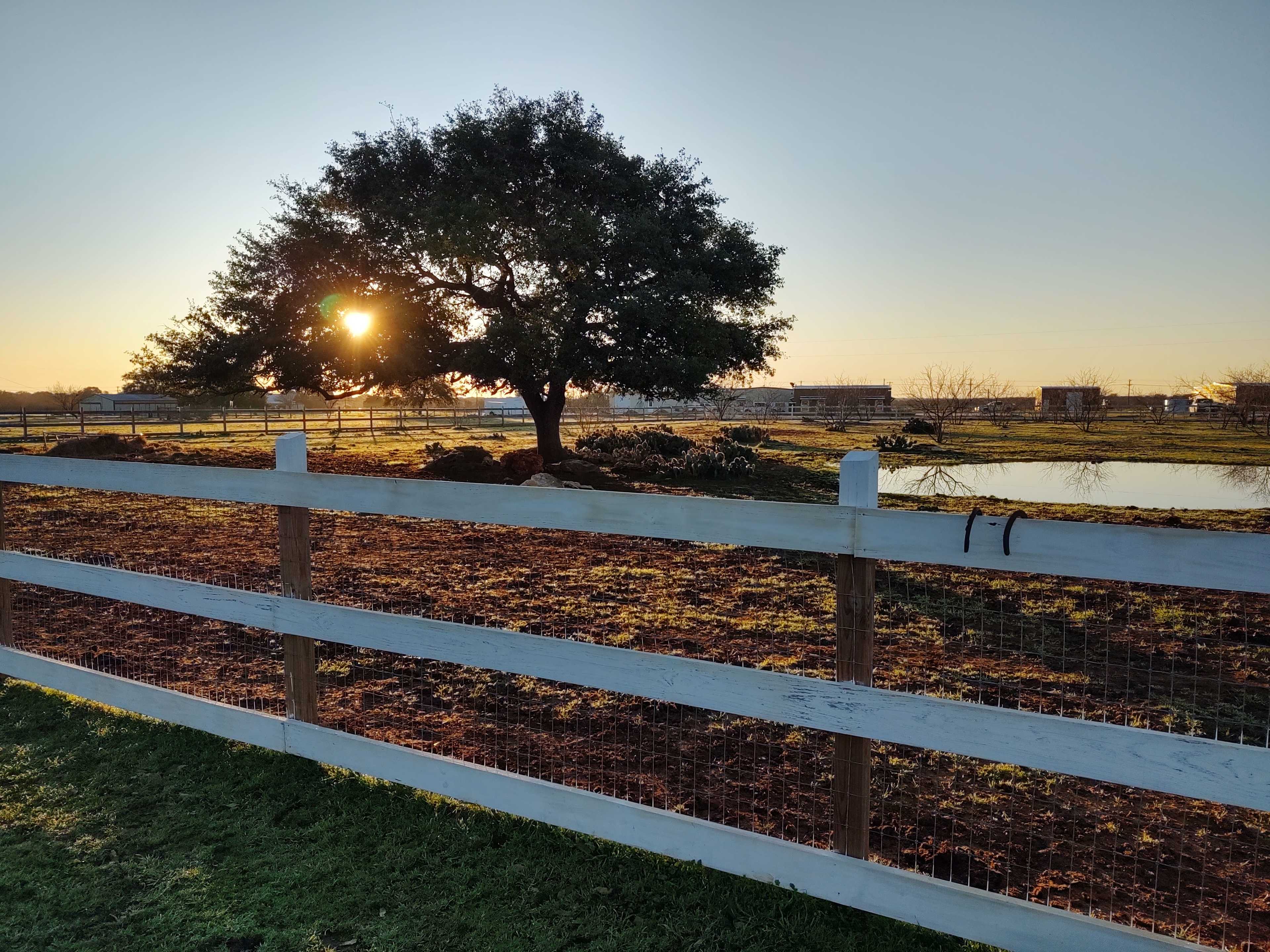 KW Equine Sanctuary and Ranch