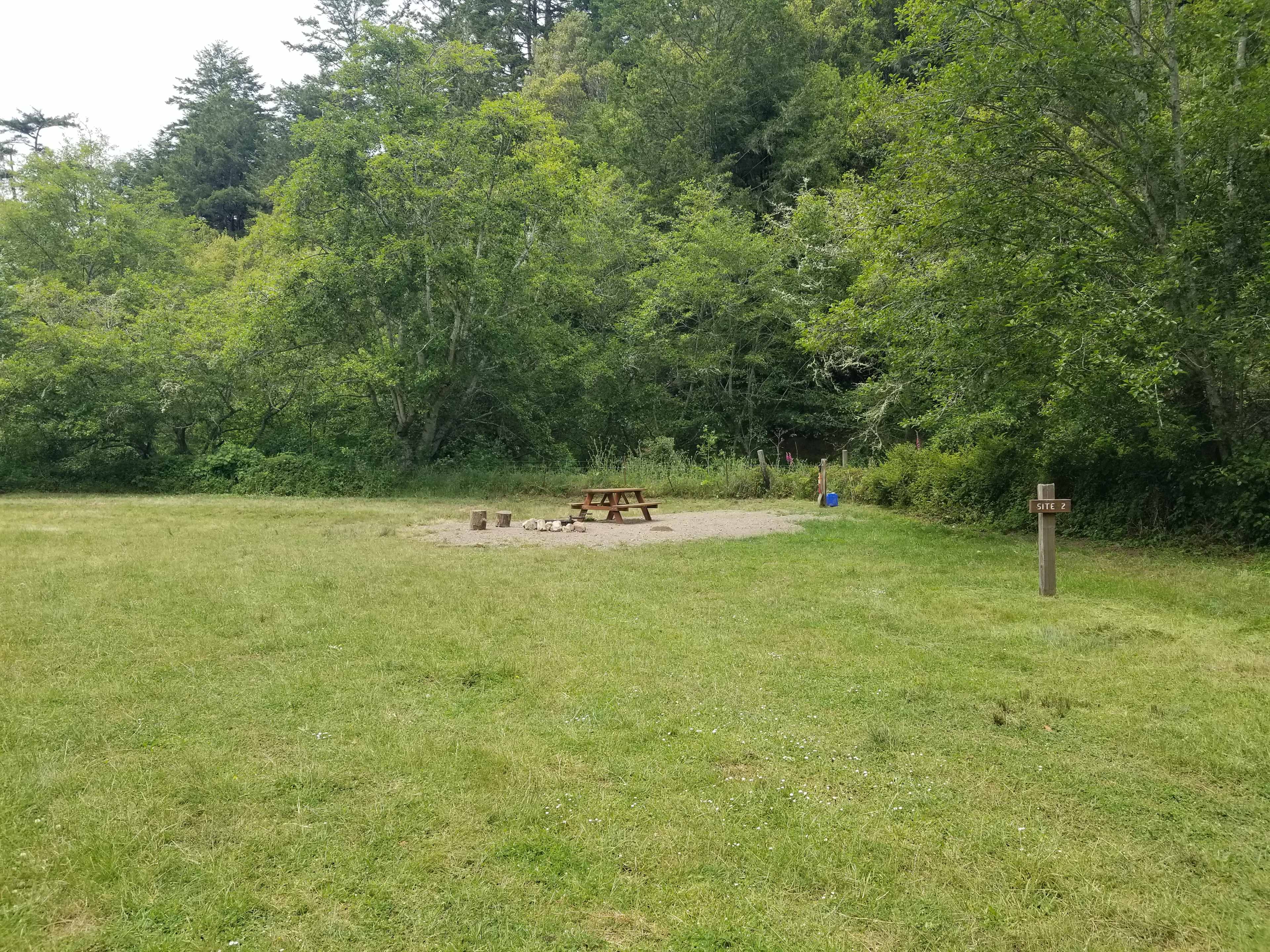 Picture of the site