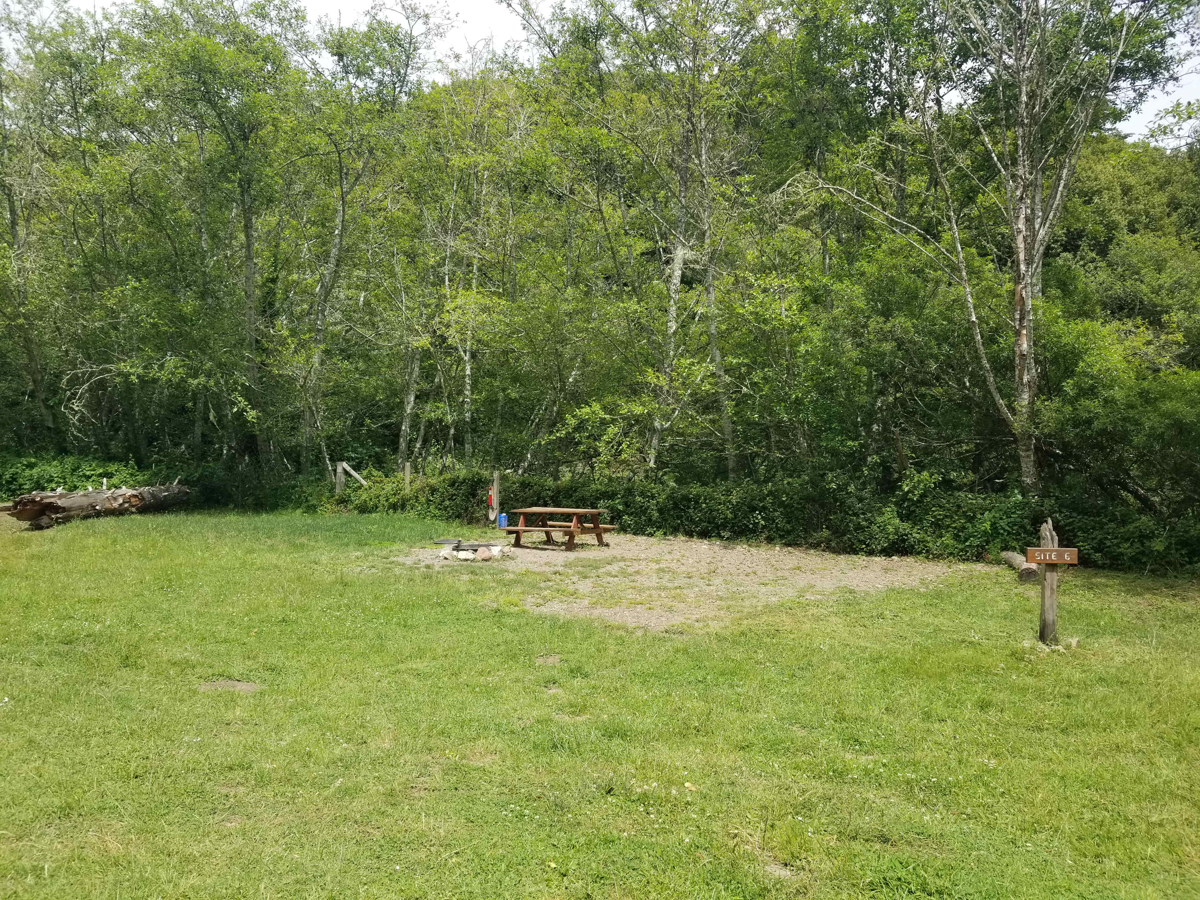 Picture of the site