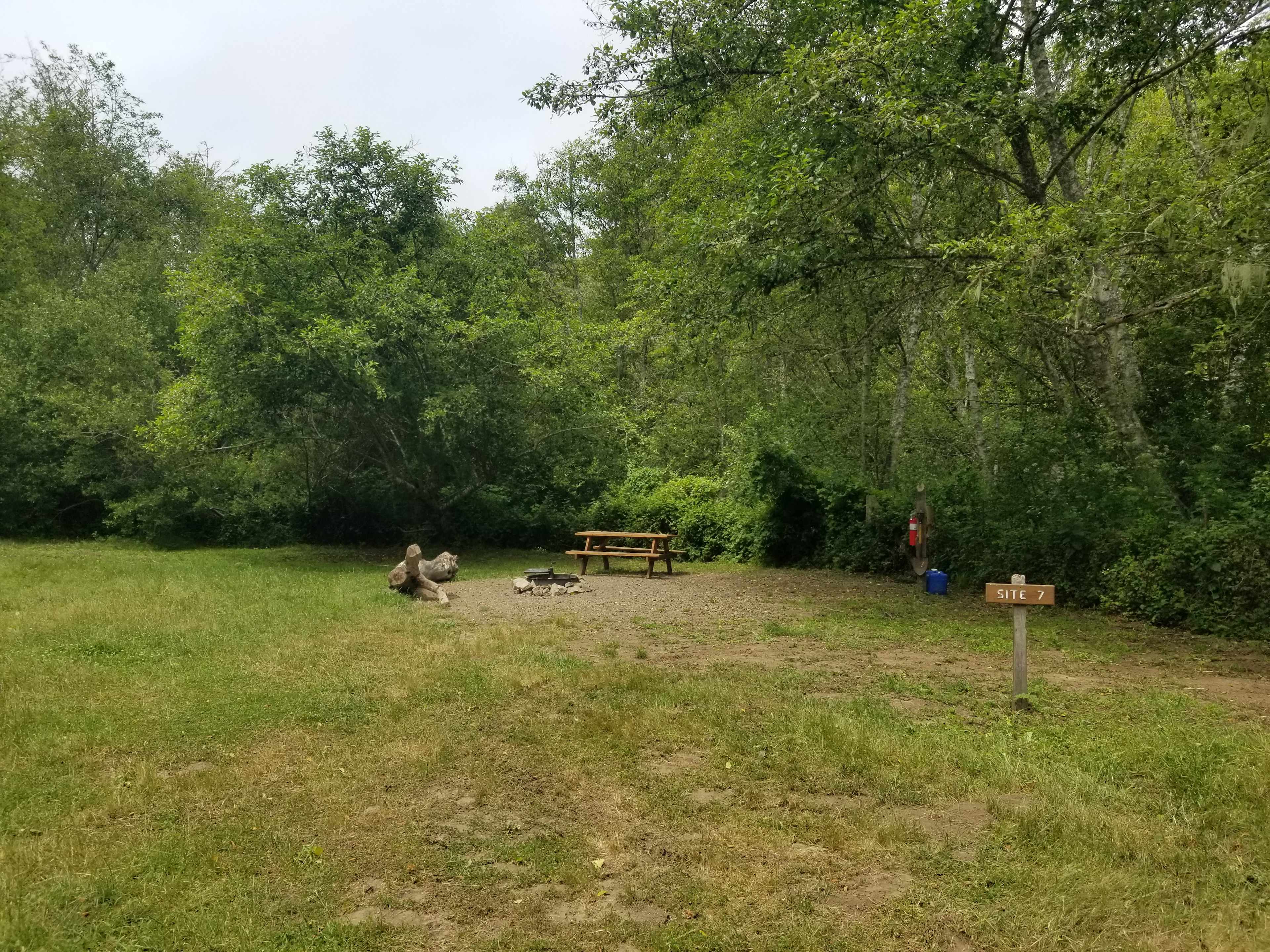 Picture of the site