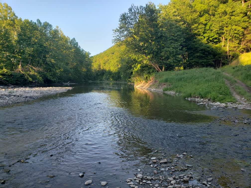 Downstream / Swimming Hole