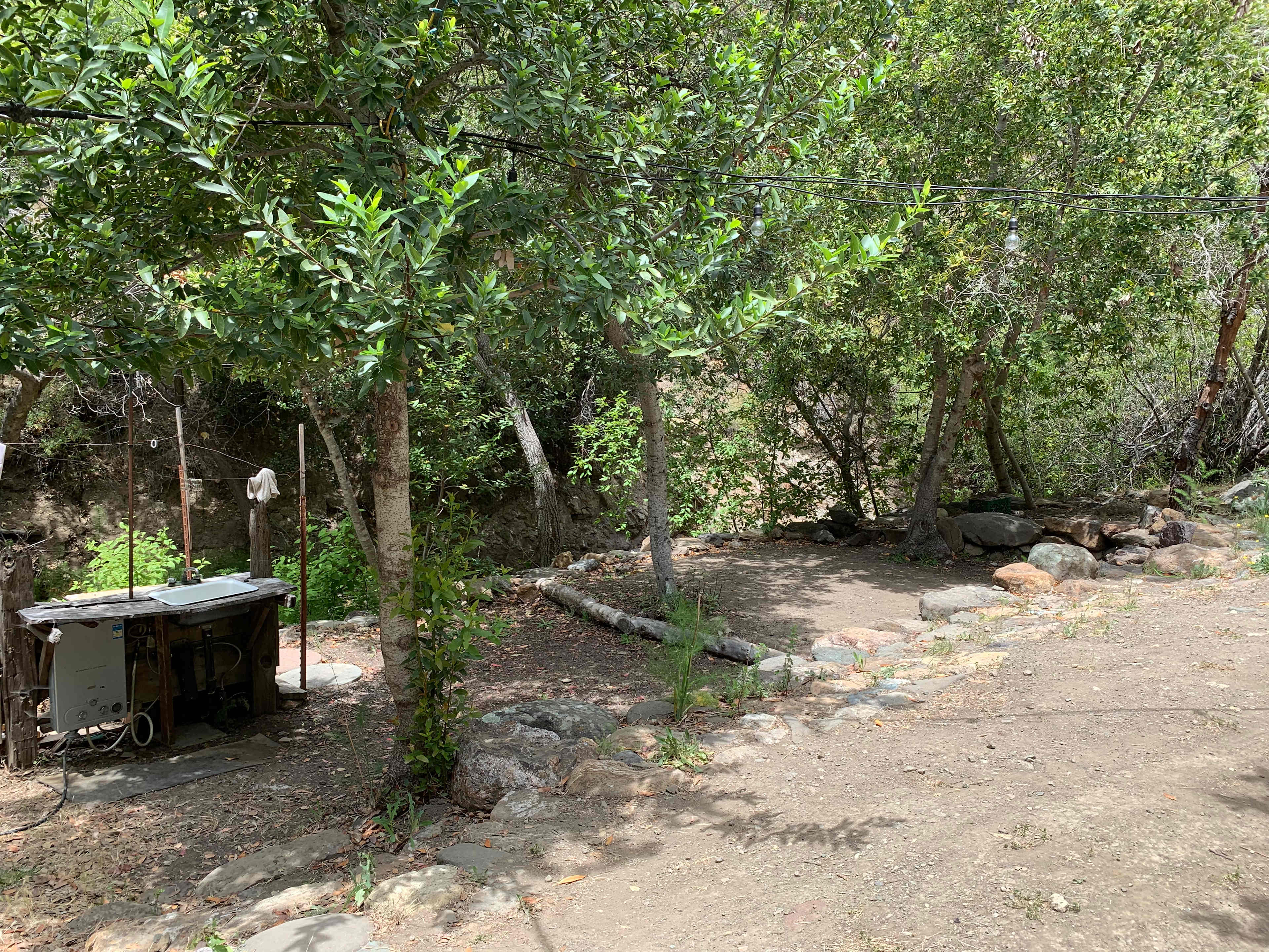 Picture of the site