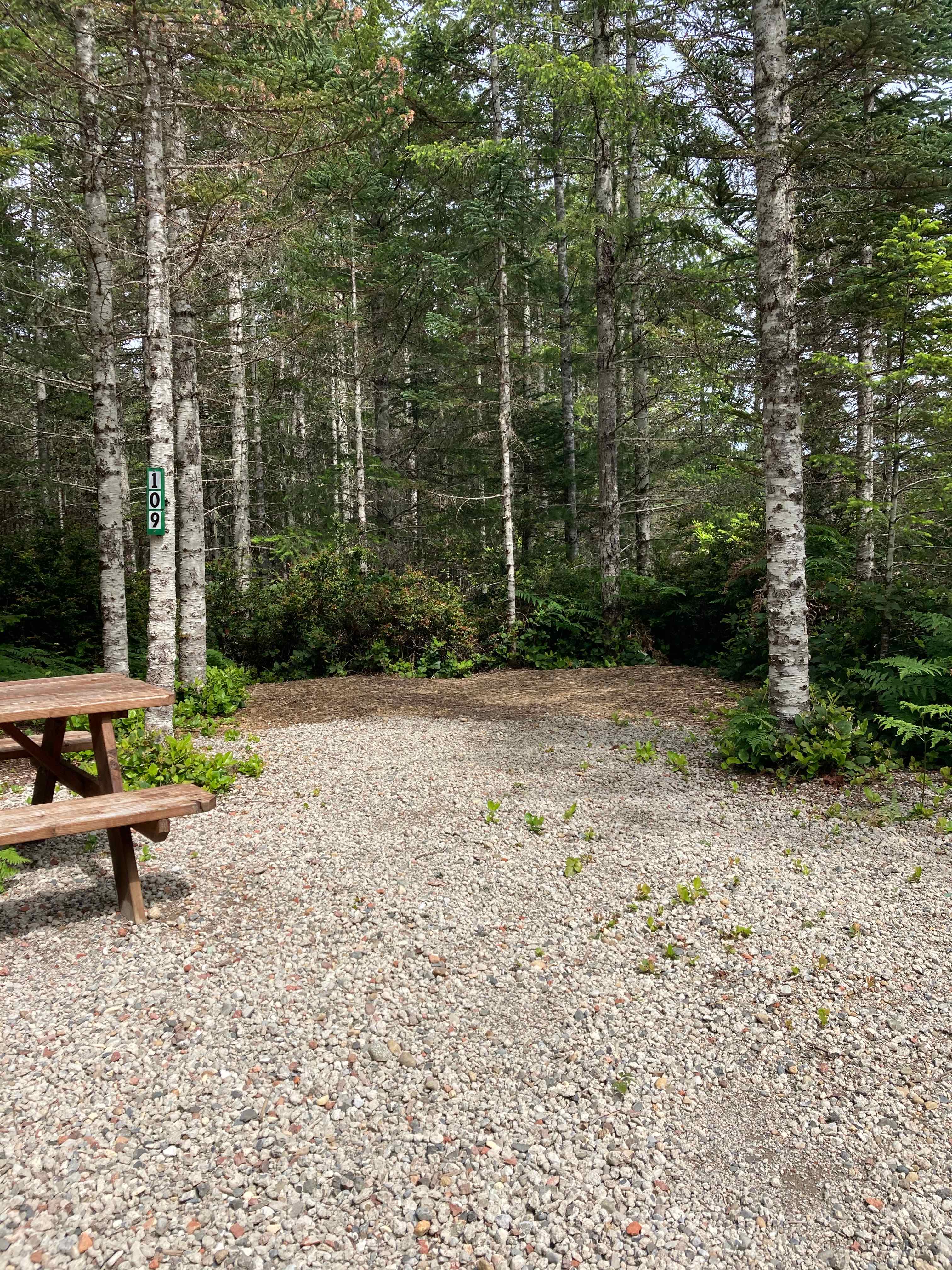 Picture of the site