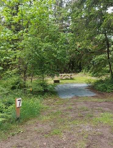 Picture of the site