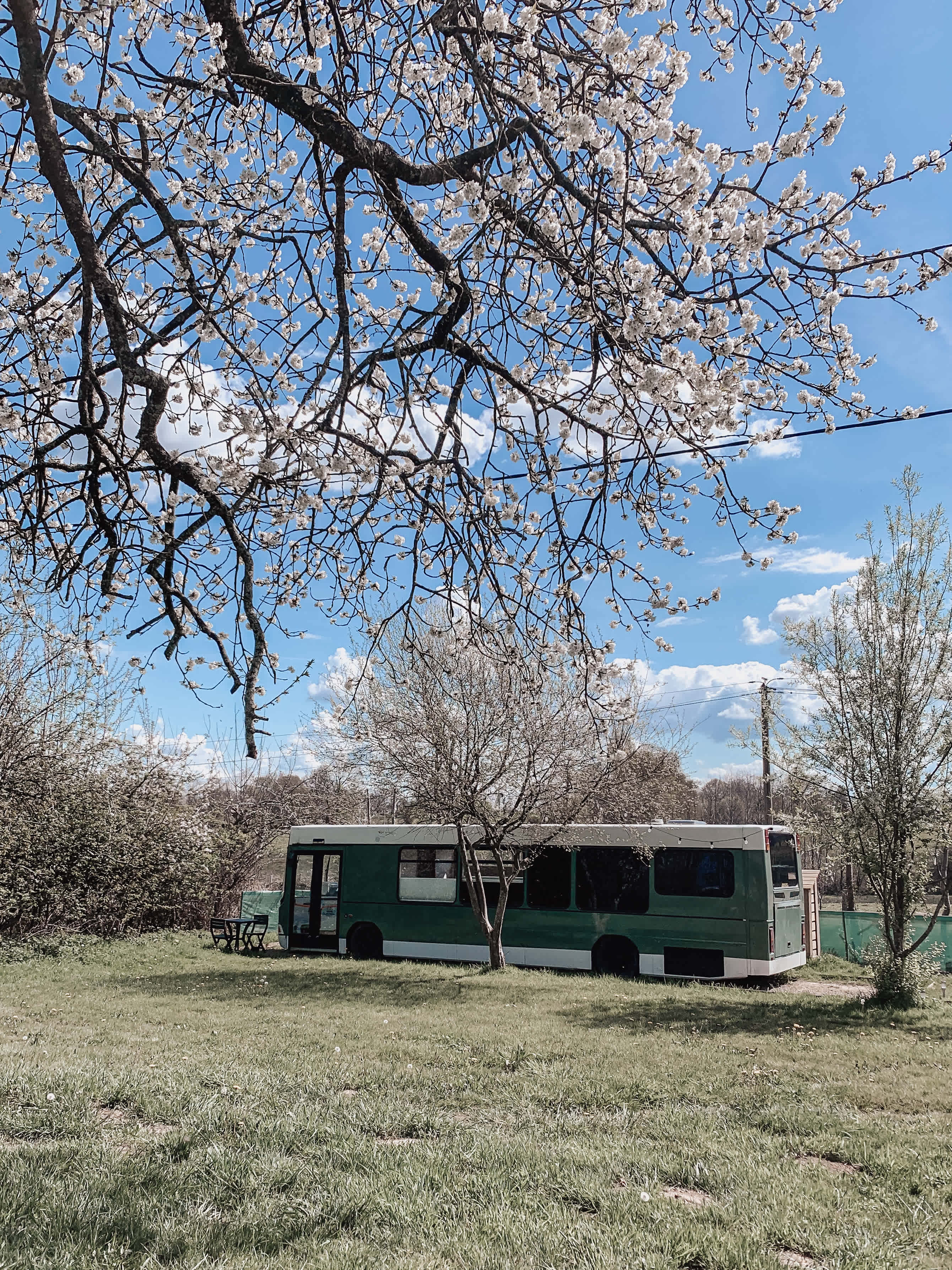 The Wander Bus - unique retreat