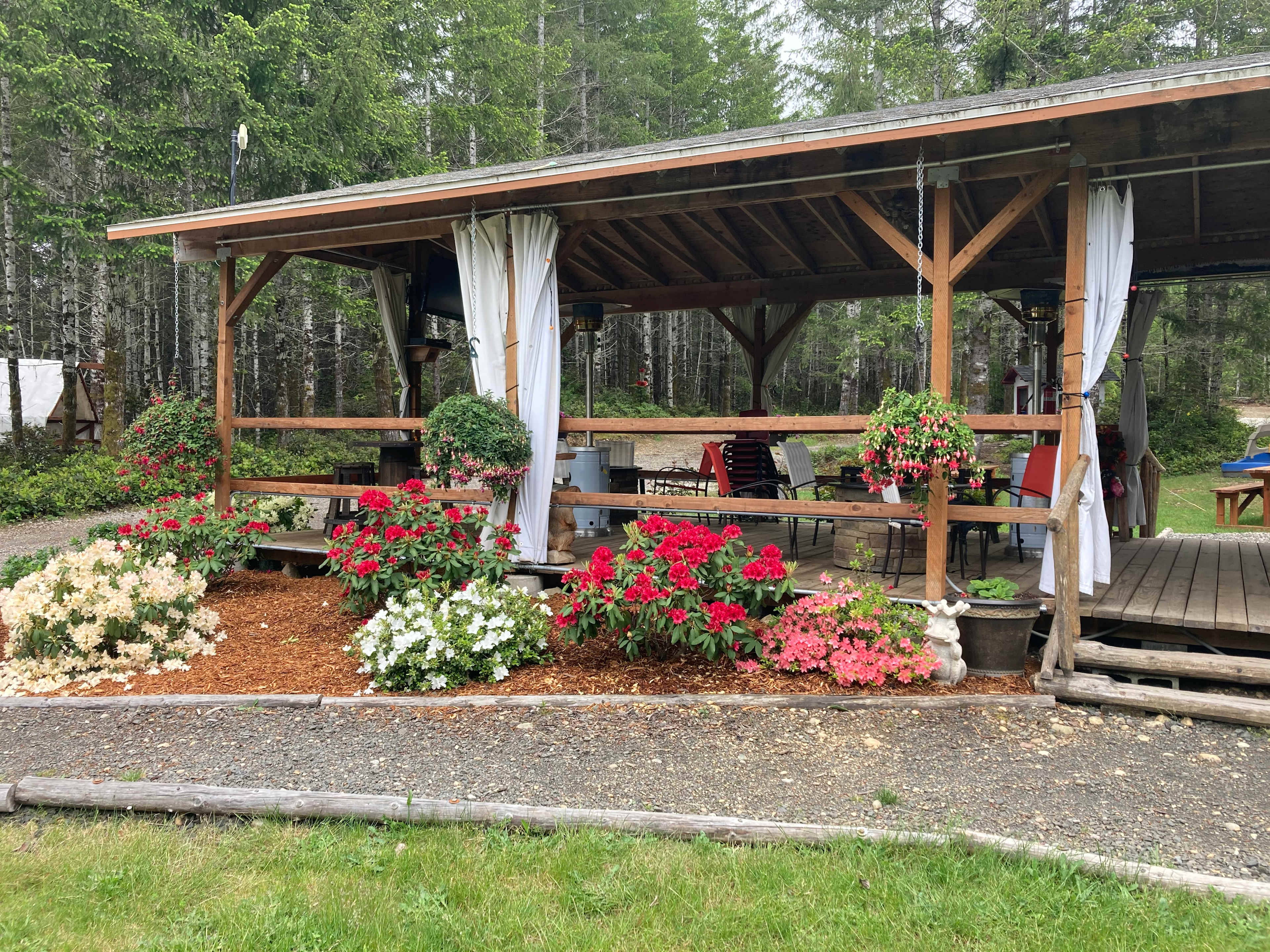Picture of the site