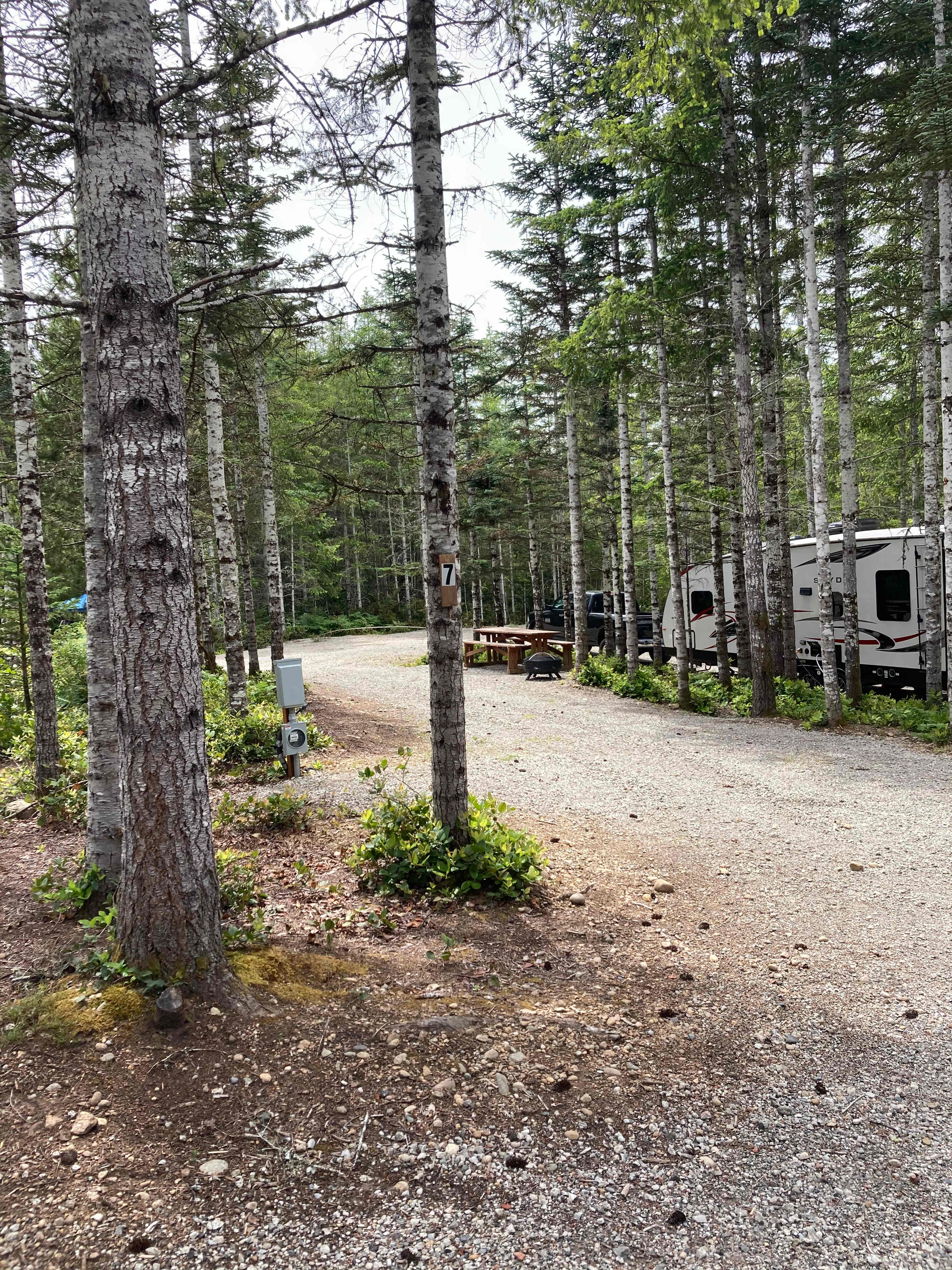 Picture of the site