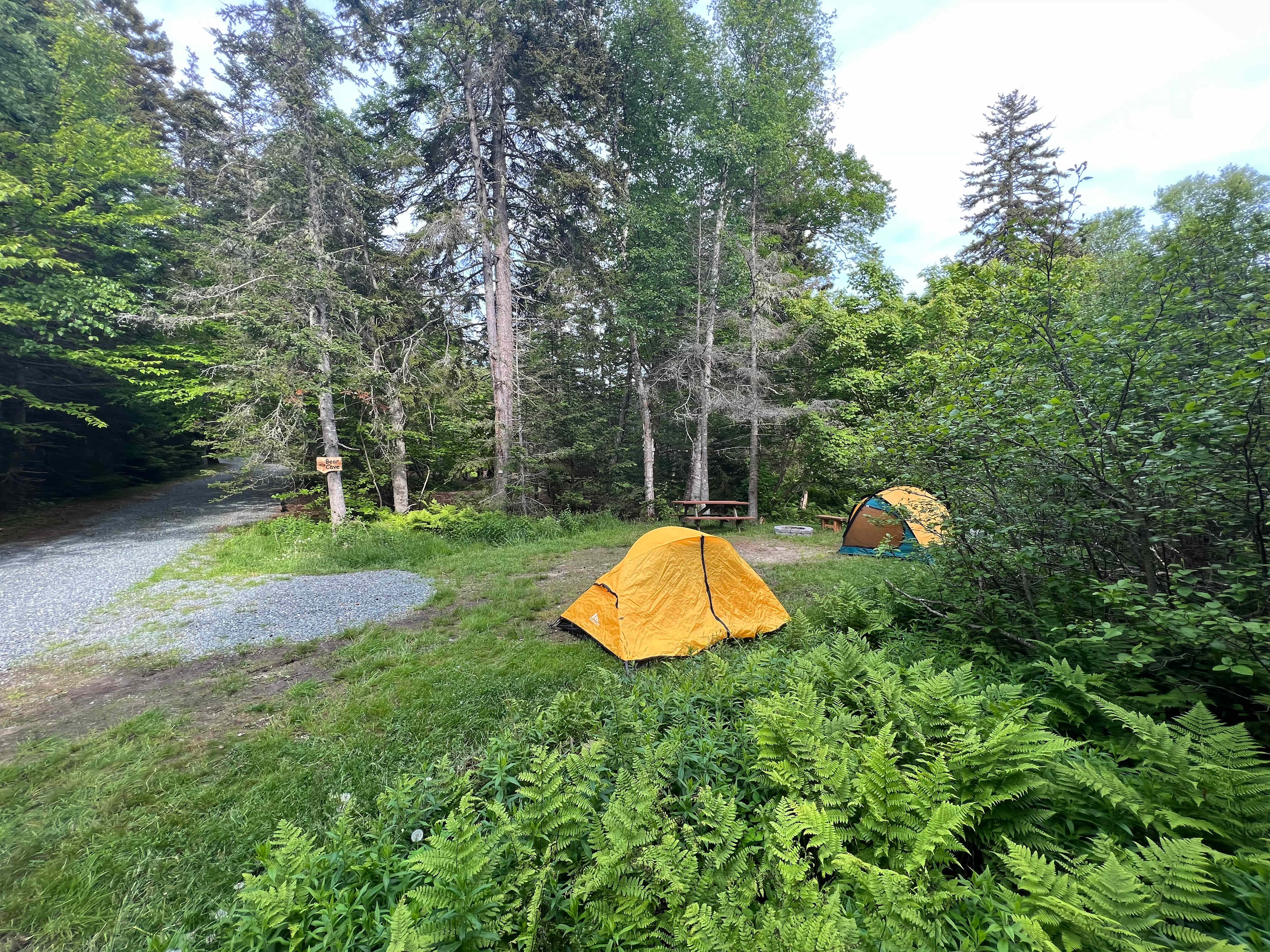 Picture of the site