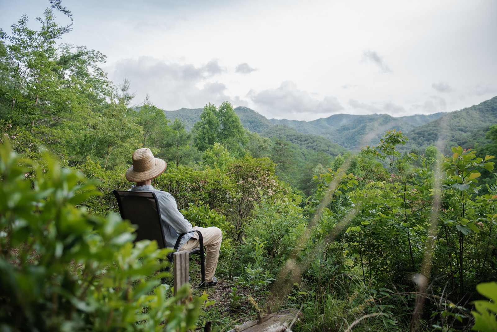 Martin's Nest Nantahala
