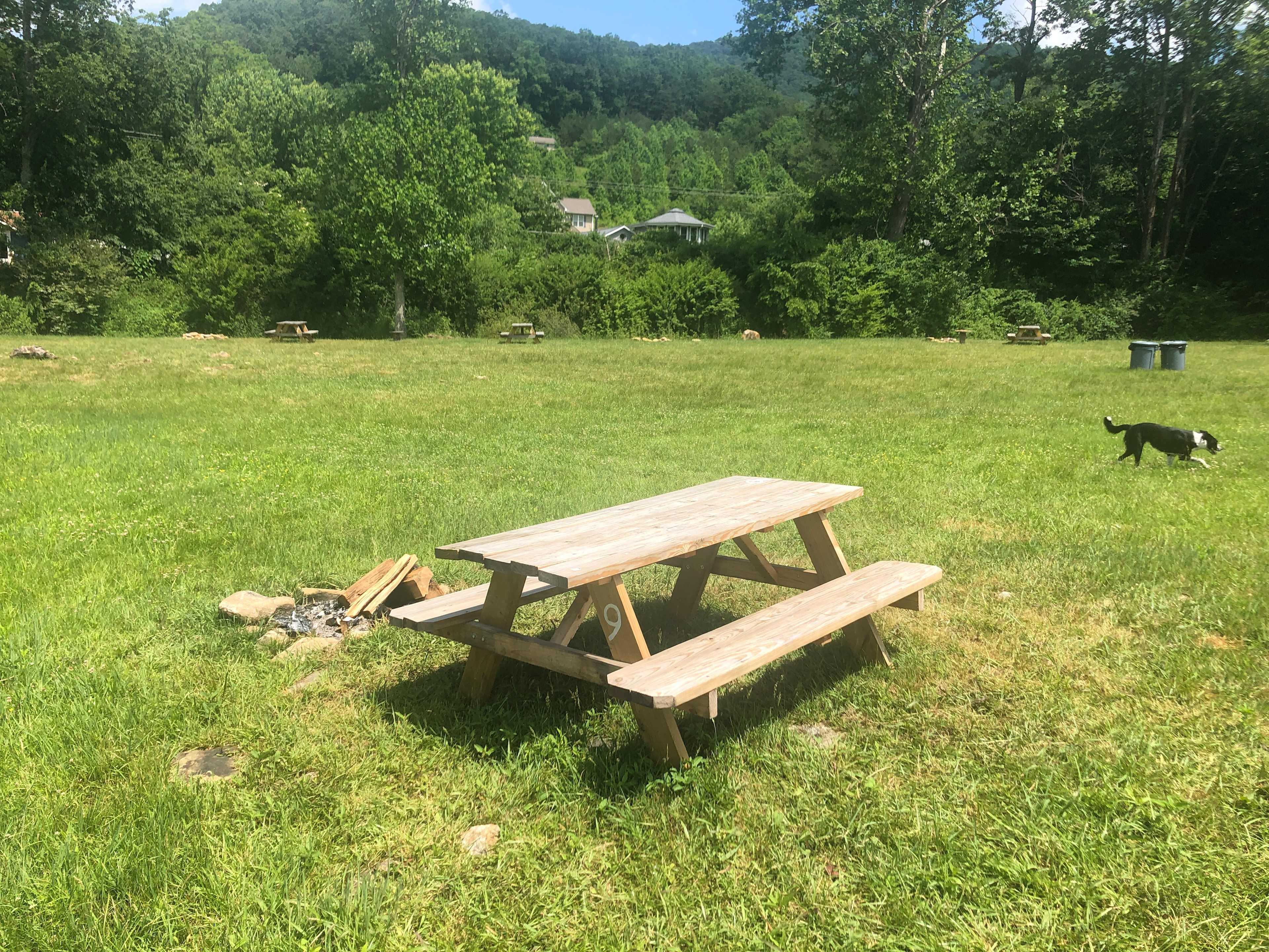 Picture of the site