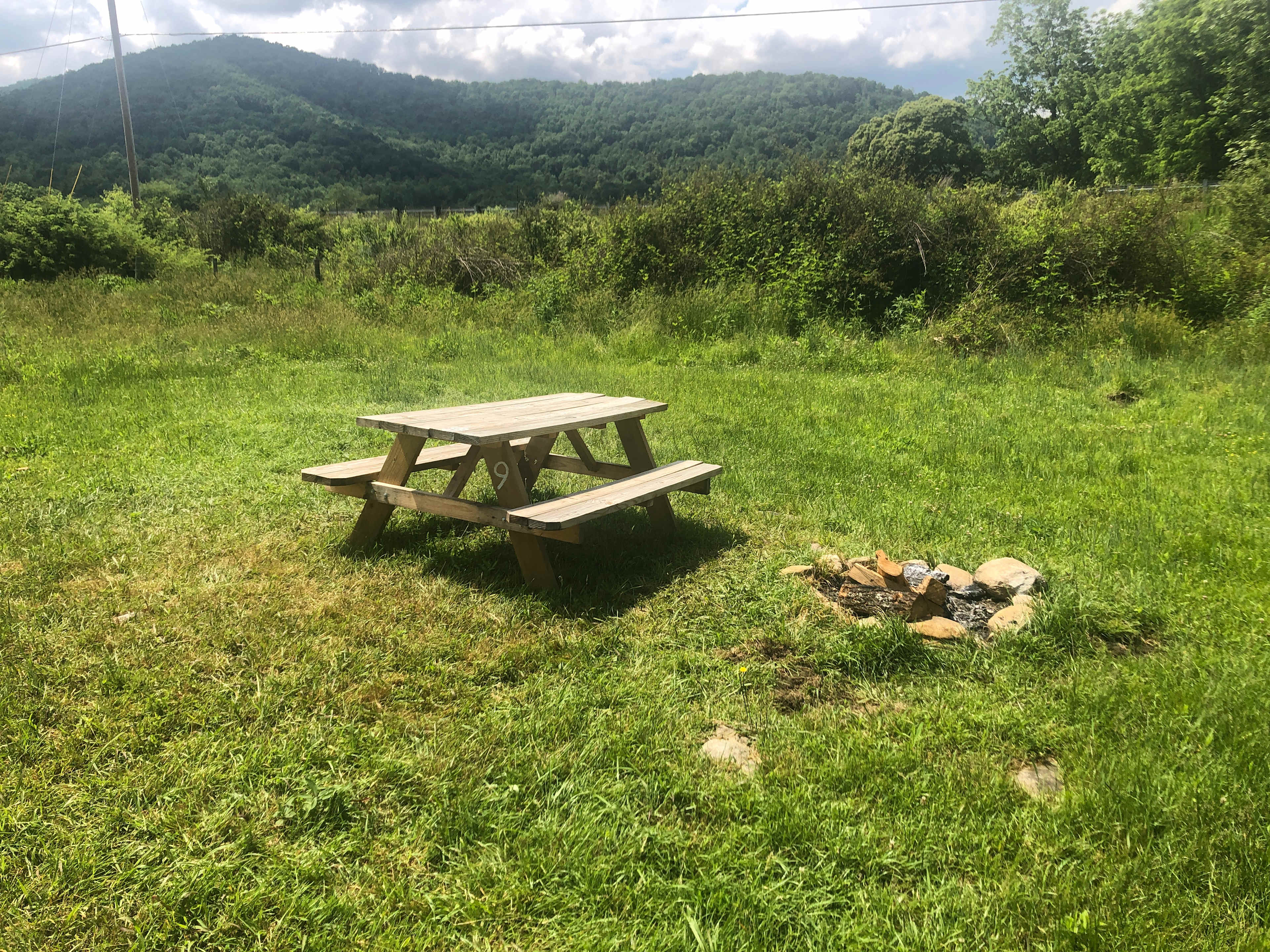 Picture of the site
