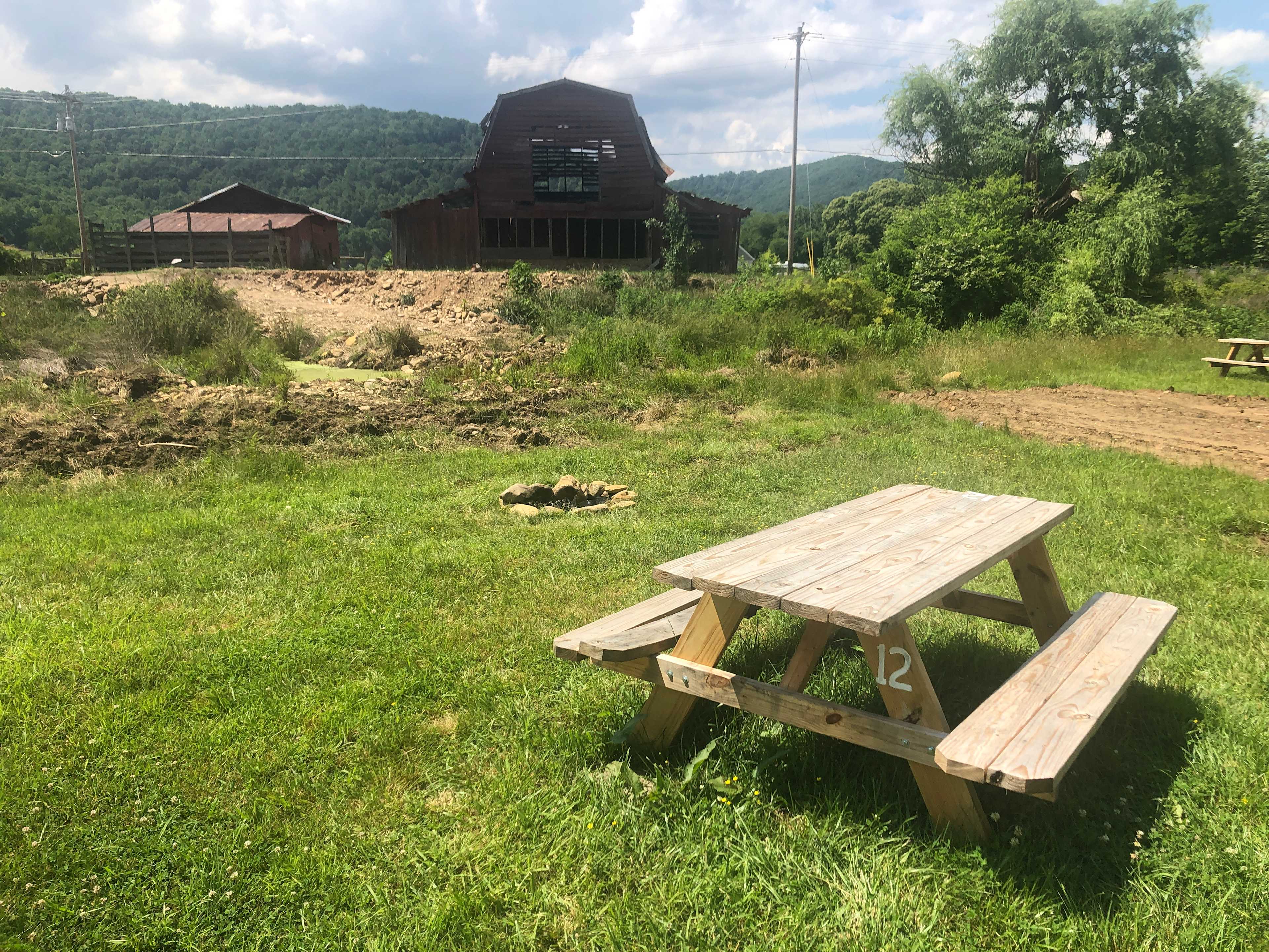 Picture of the site