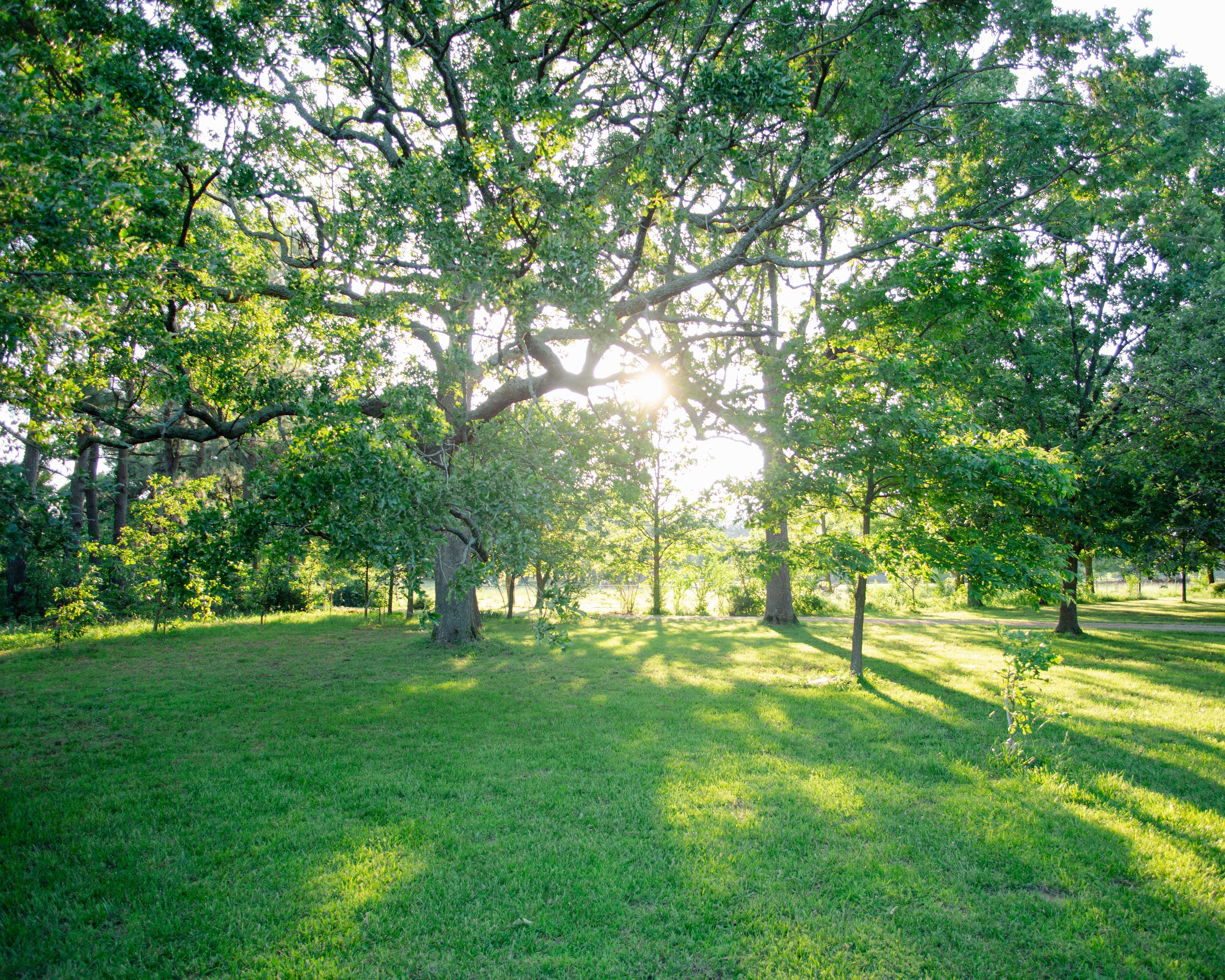 Enchanted Garden RV & Campsites