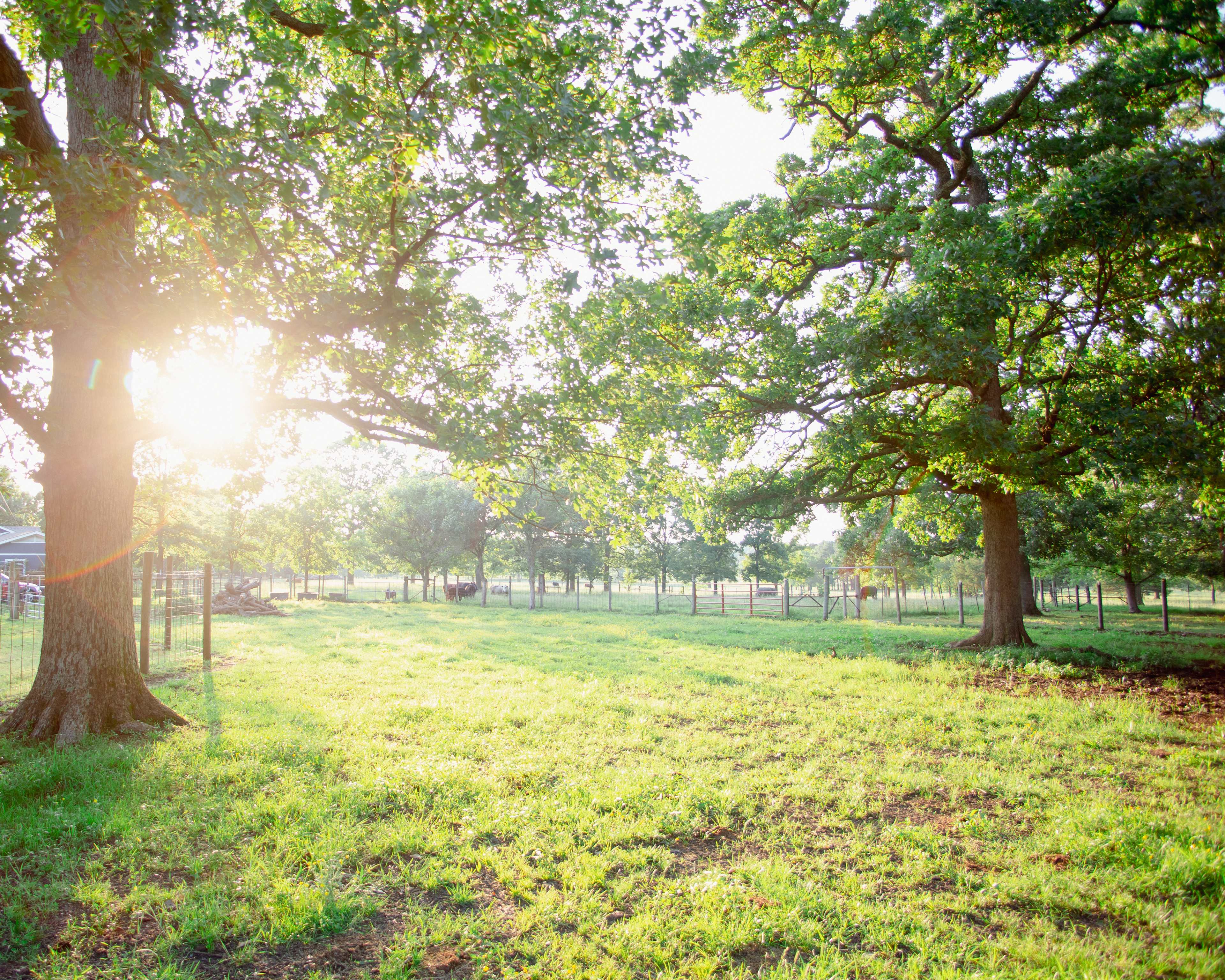 Enchanted Garden RV & Campsites