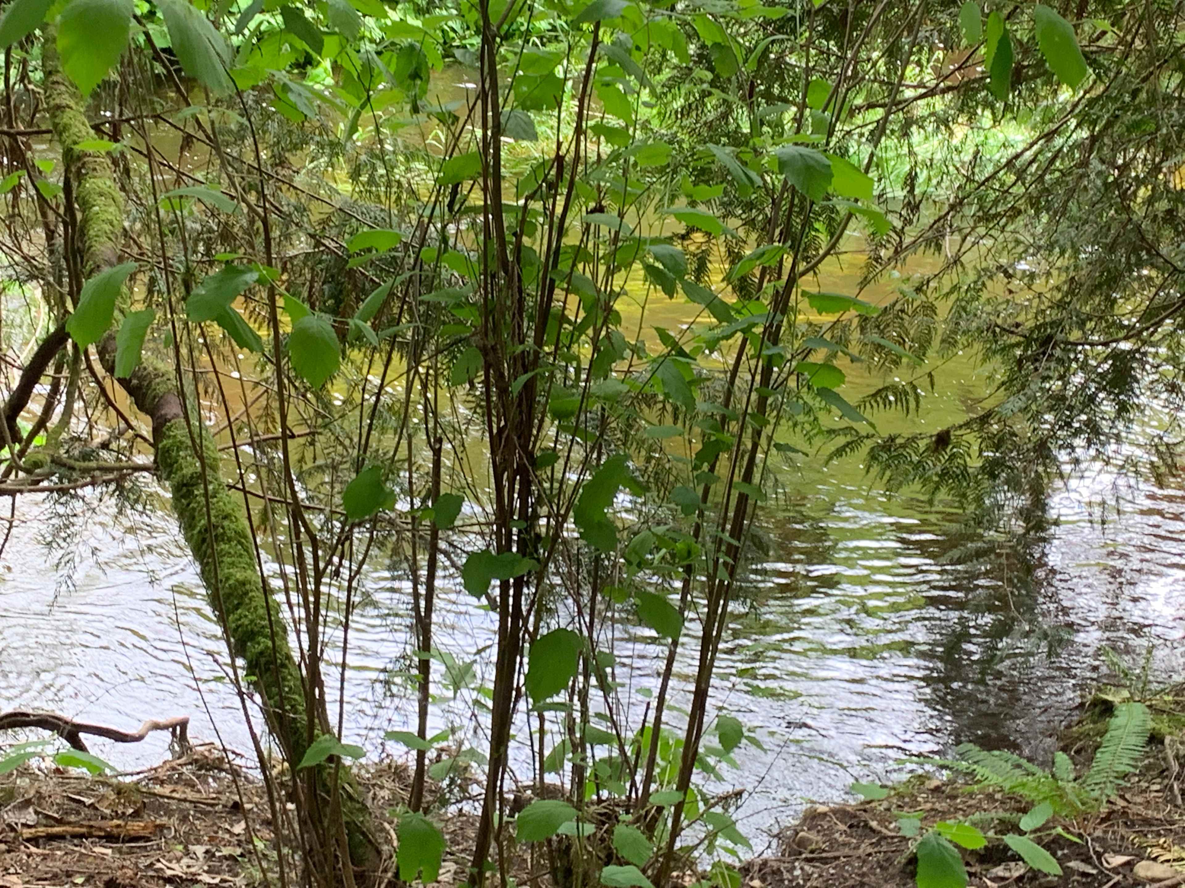 Secret valley
