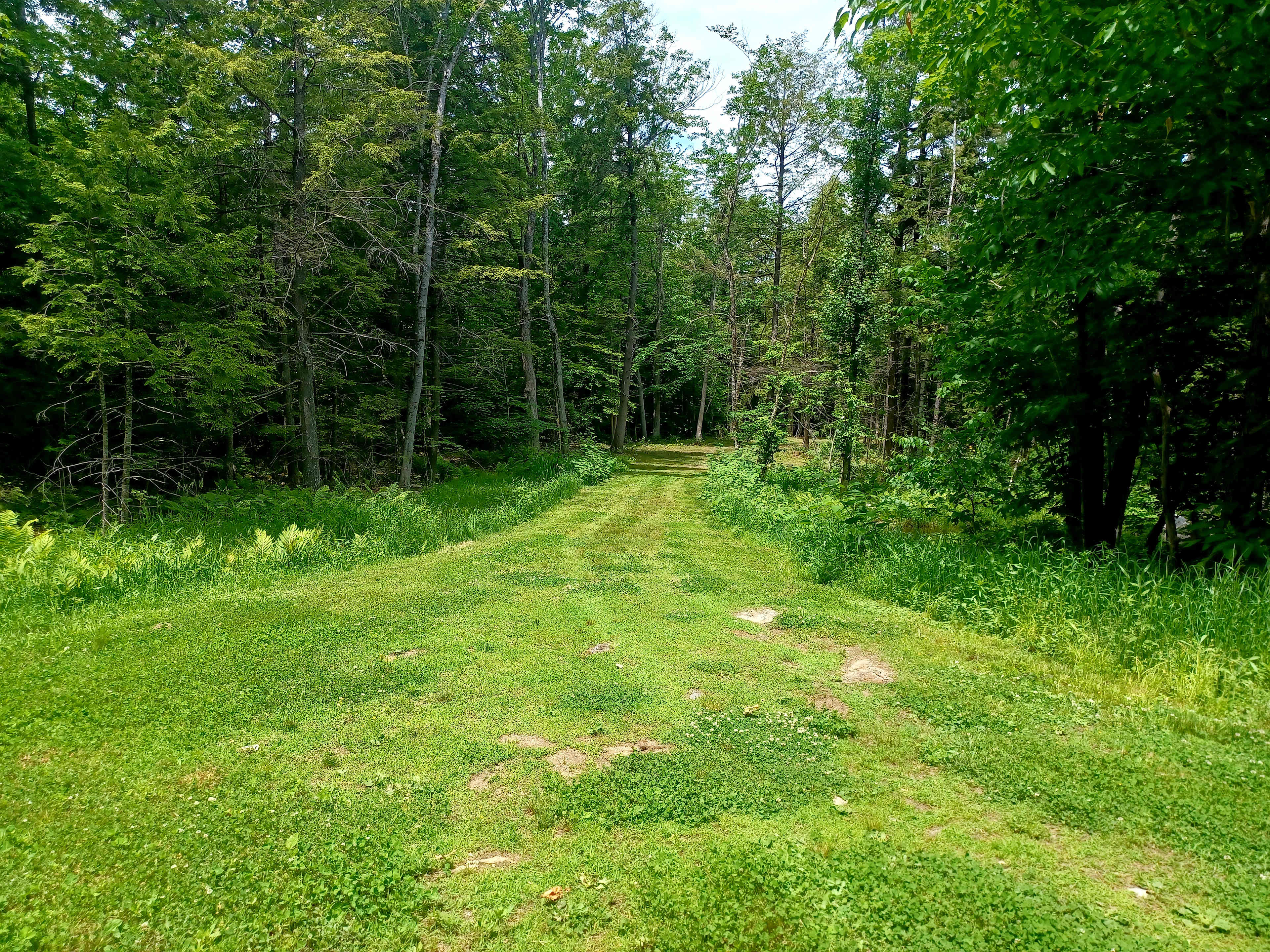 Lovedy's Land at Nubbin Corner.