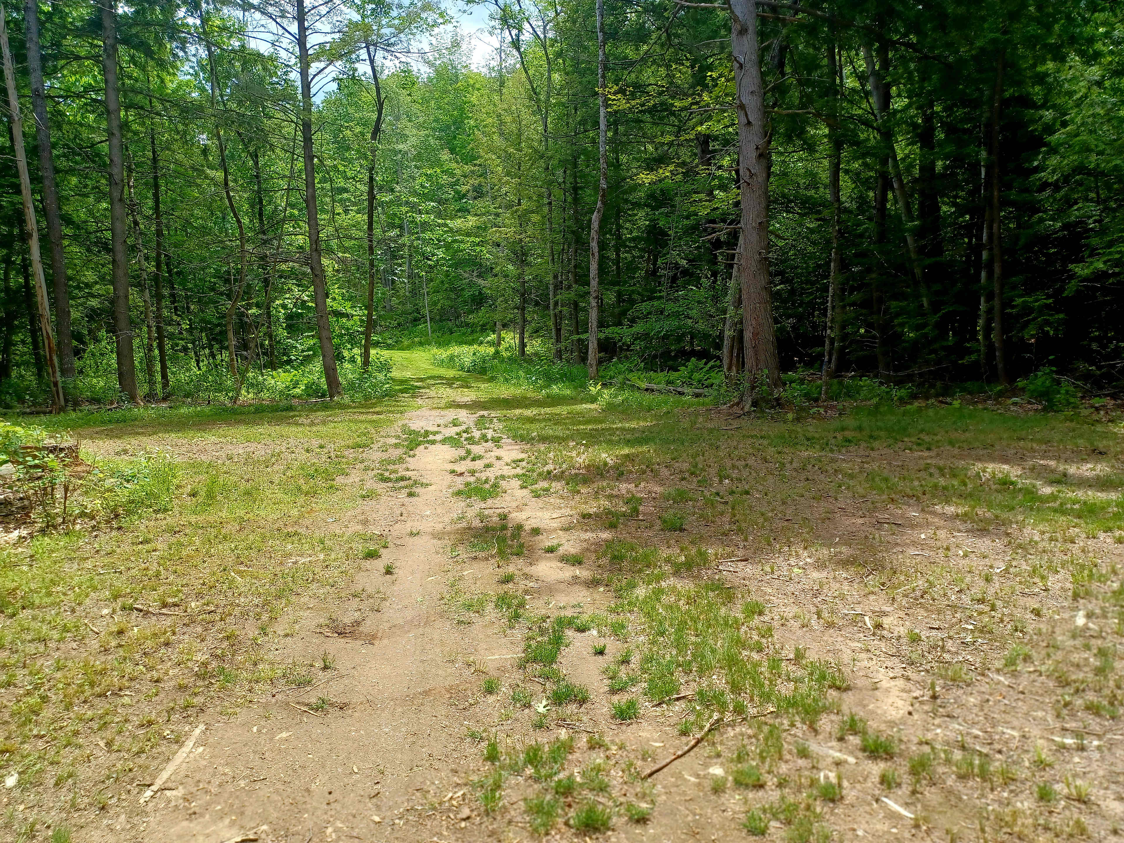 Lovedy's Land at Nubbin Corner.