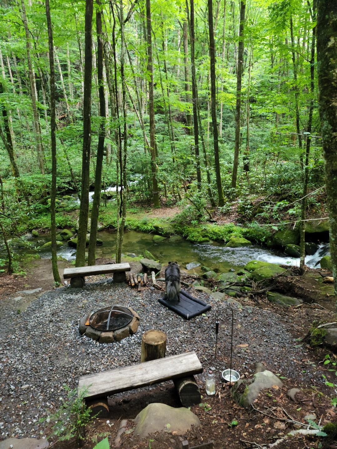 Picture of the site