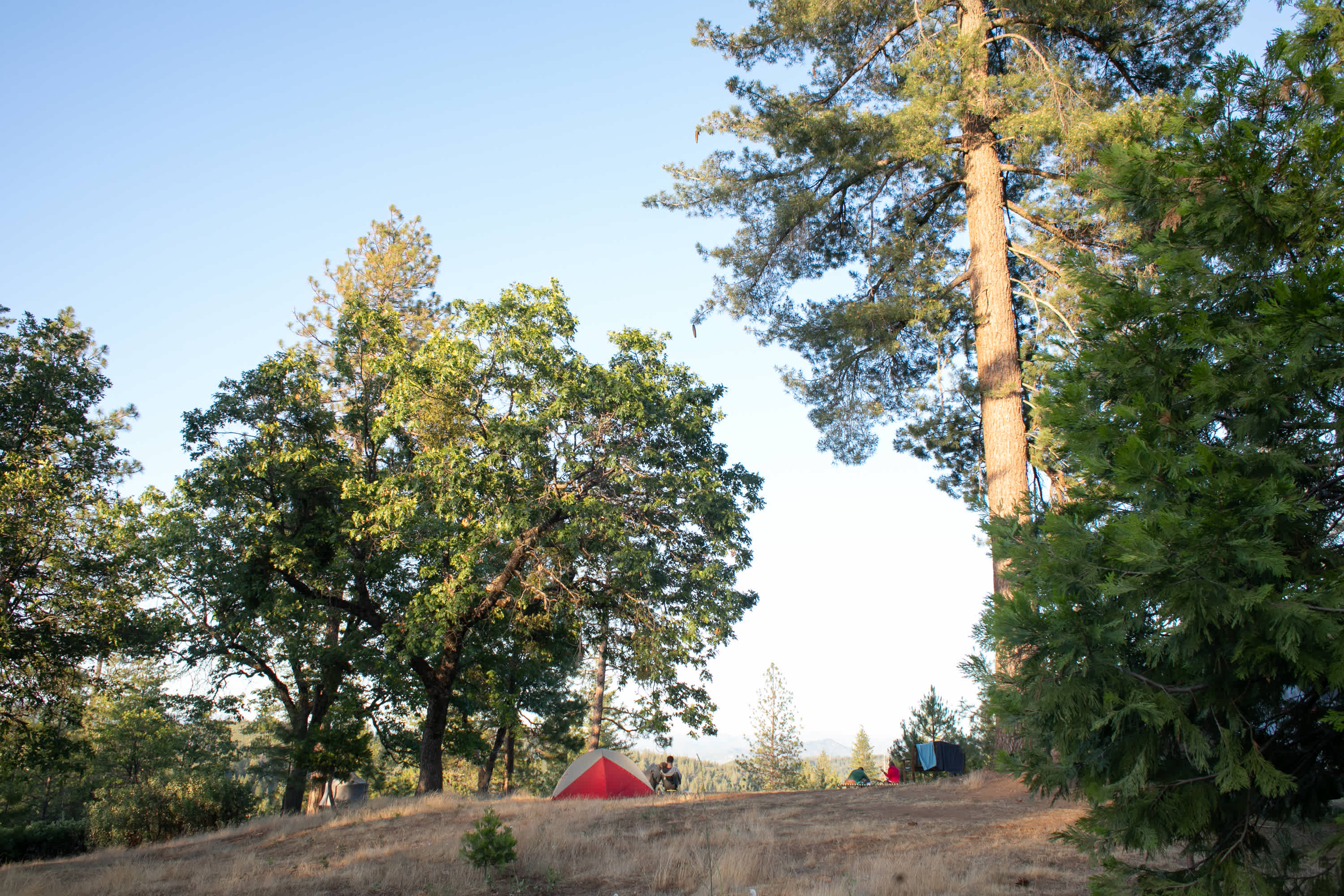 BaseCampByBo!