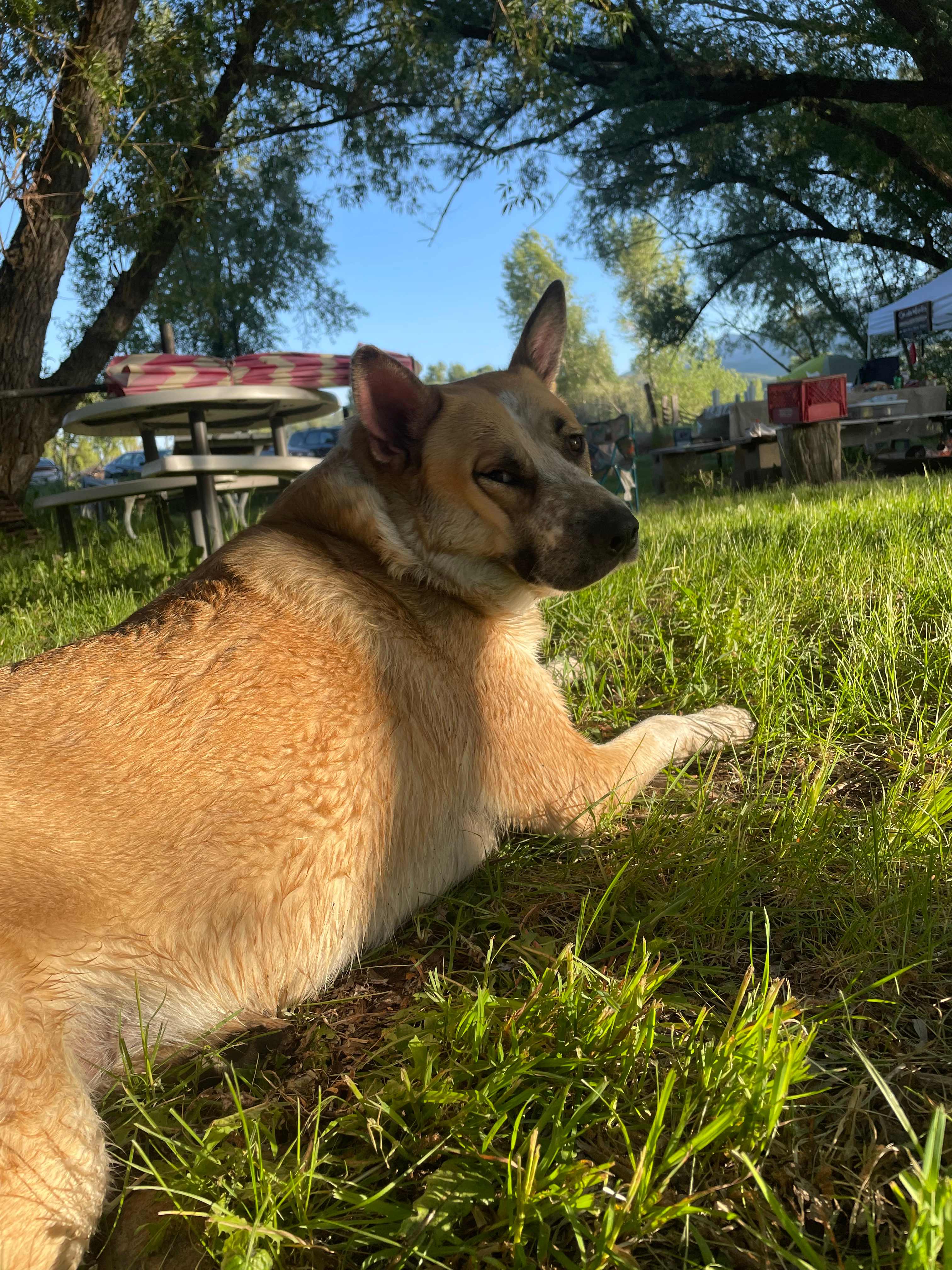 RIVER BEND CAMP GROUND