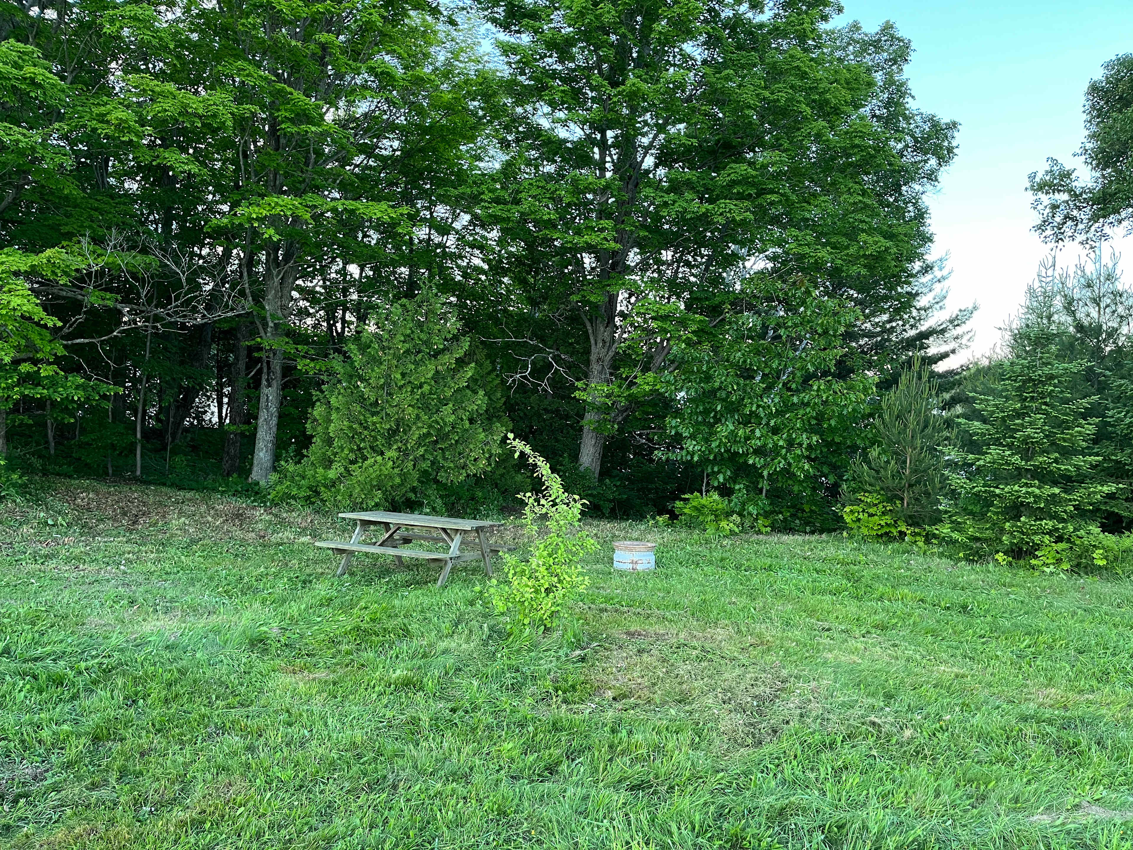 Site #2