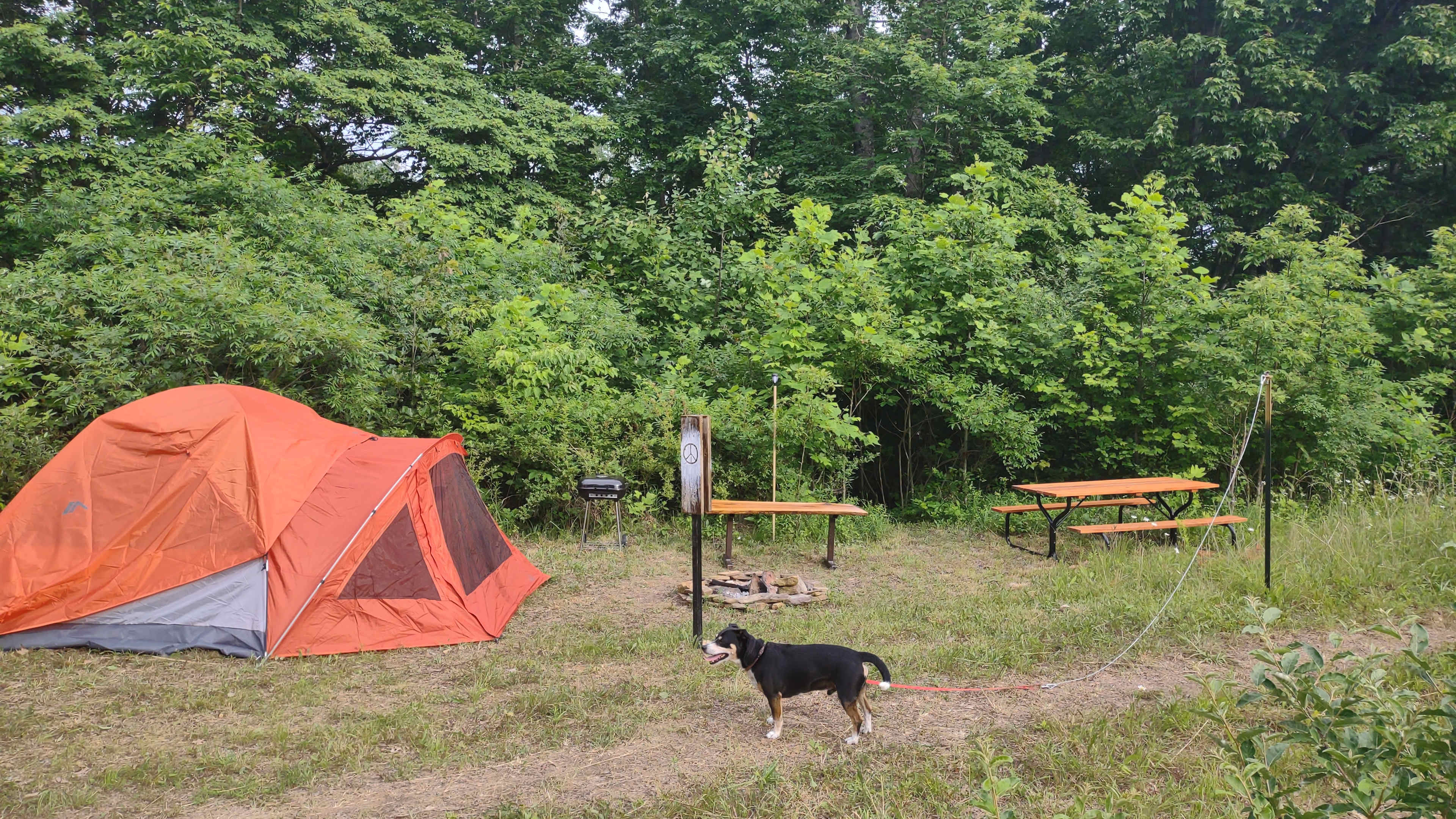 Picture of the site