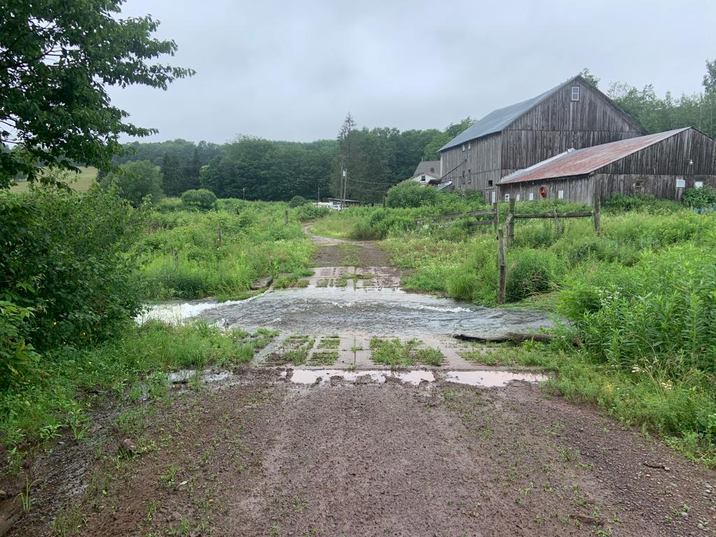 bovina farm