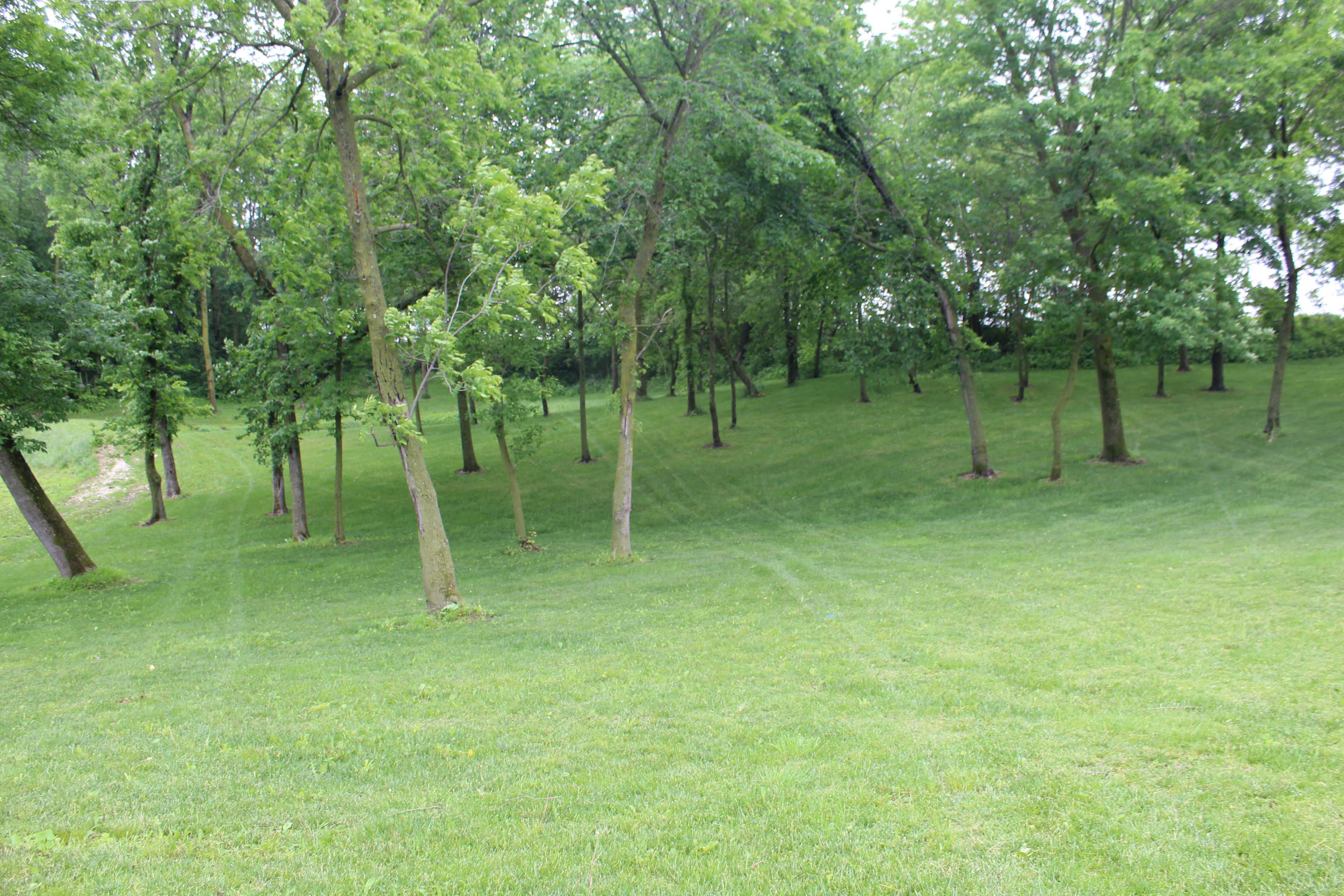 Gossman Goat Ranch