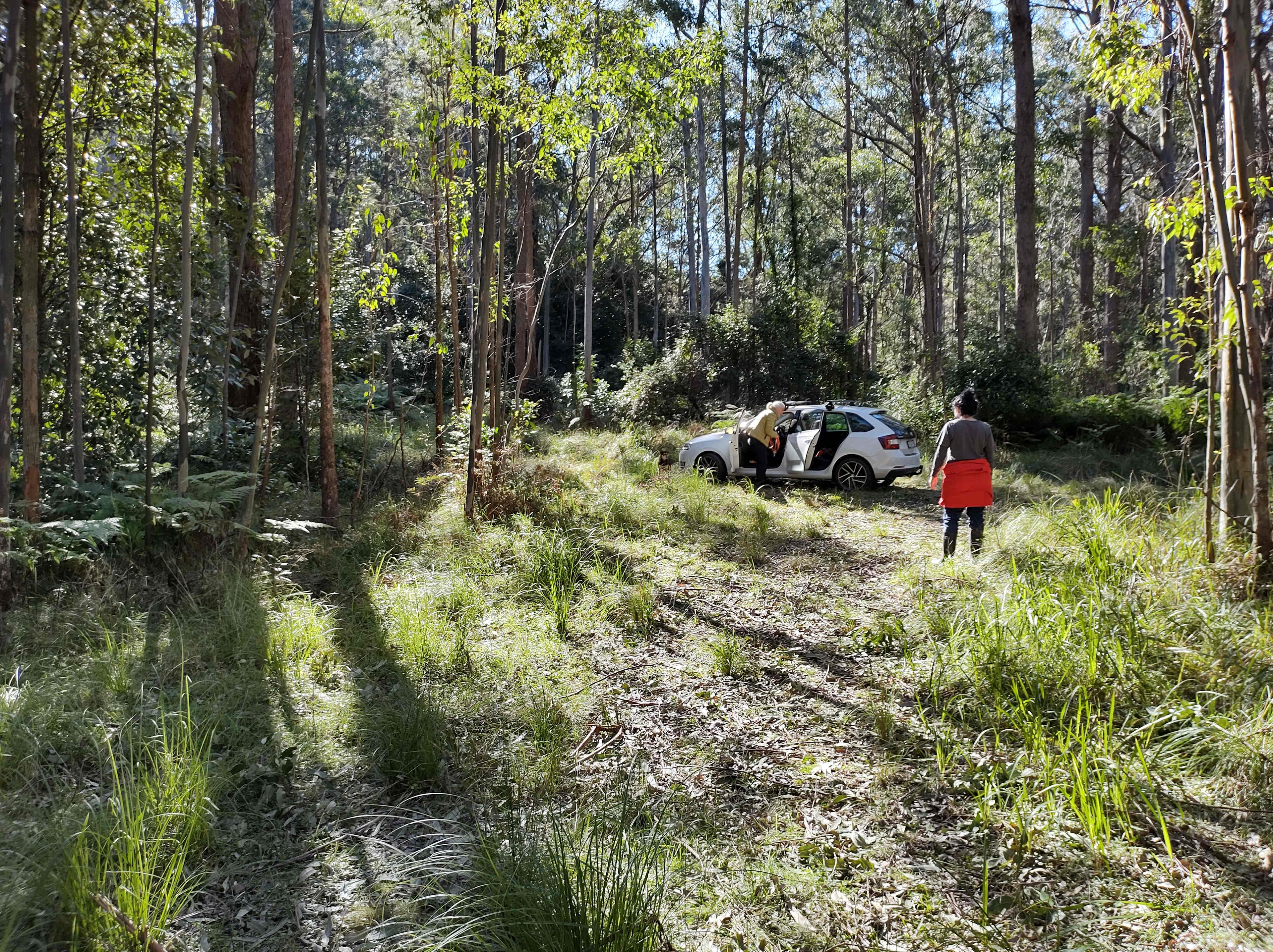 Picture of the site