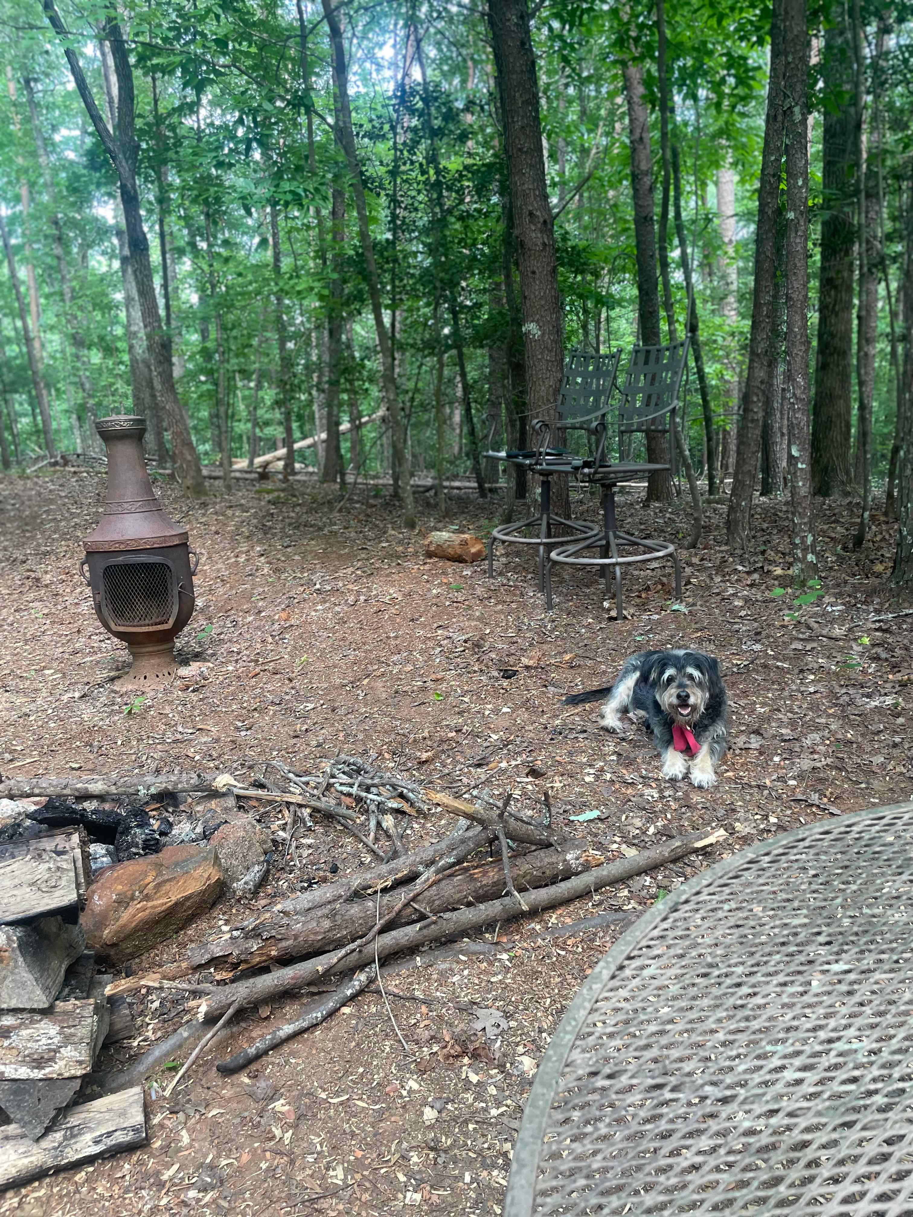 Wooded Camping at Pond