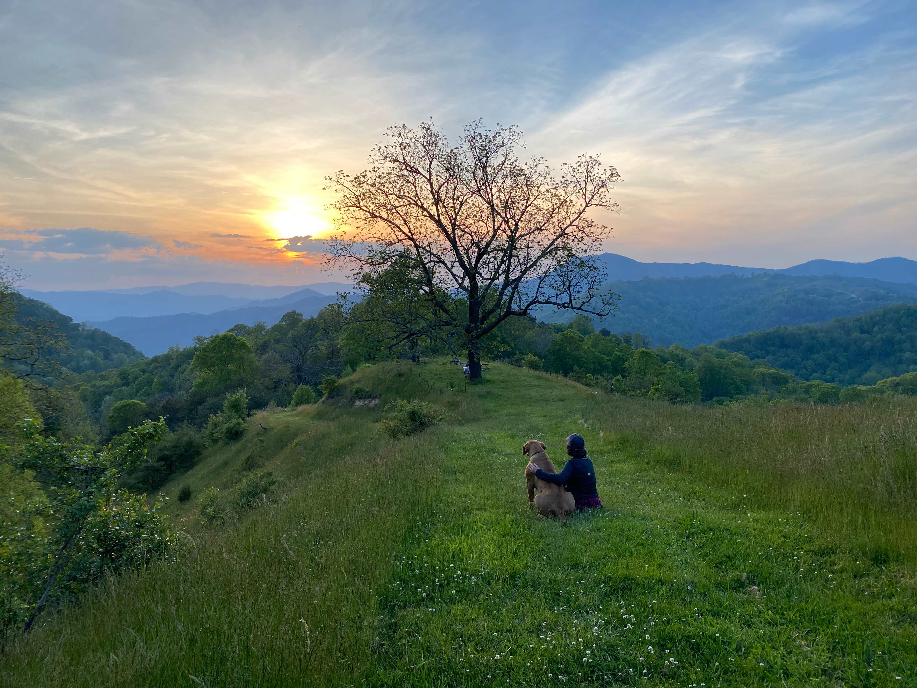 Pause || Eco-Retreat at Aramesh