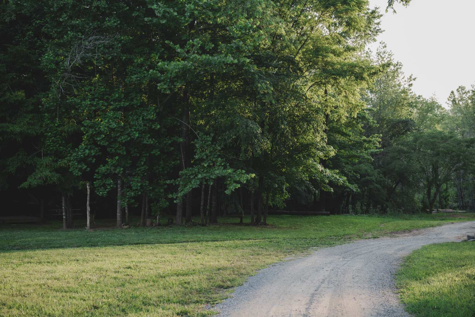 Linville Adventure Pasture (LAP)
