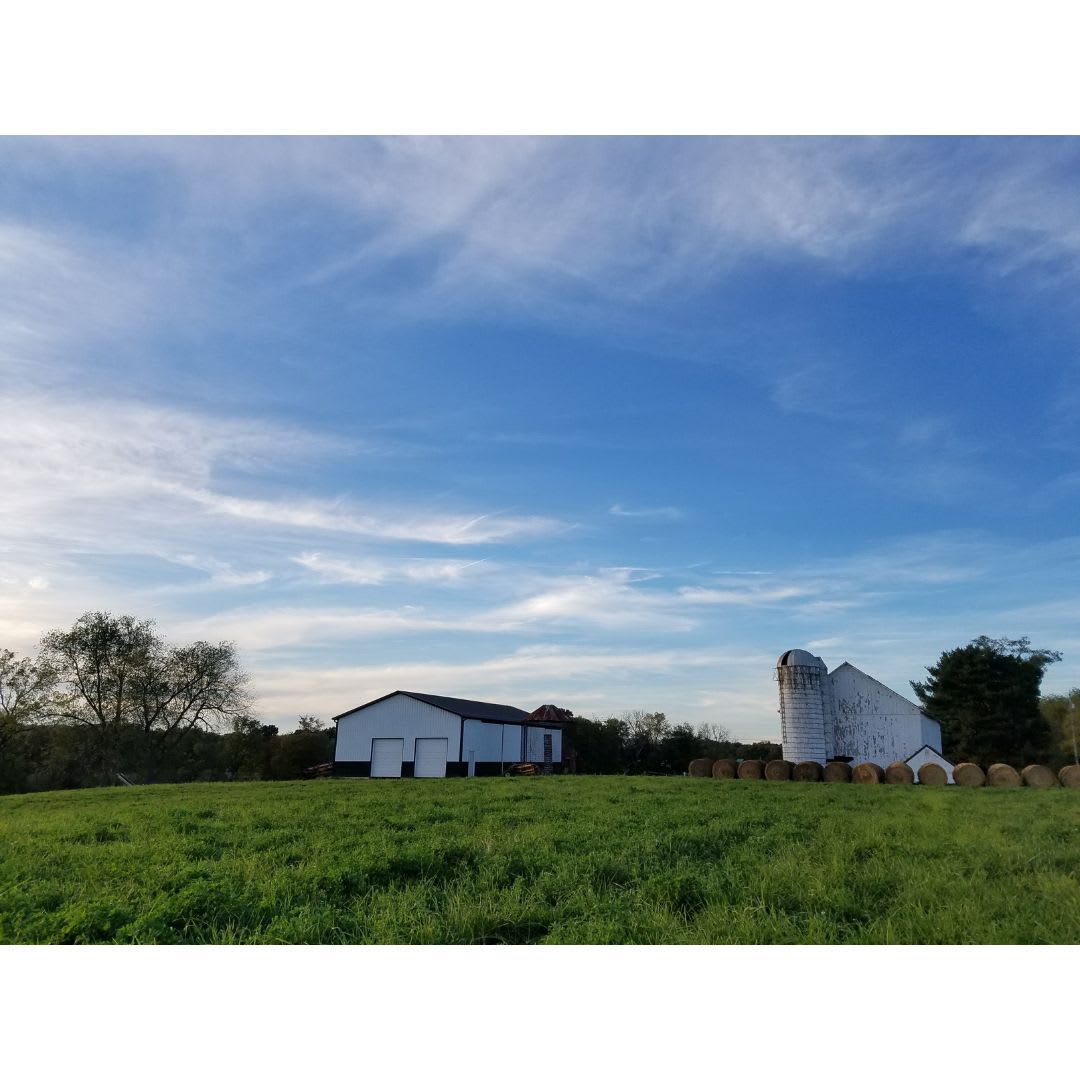 Motts Mapleton Farm