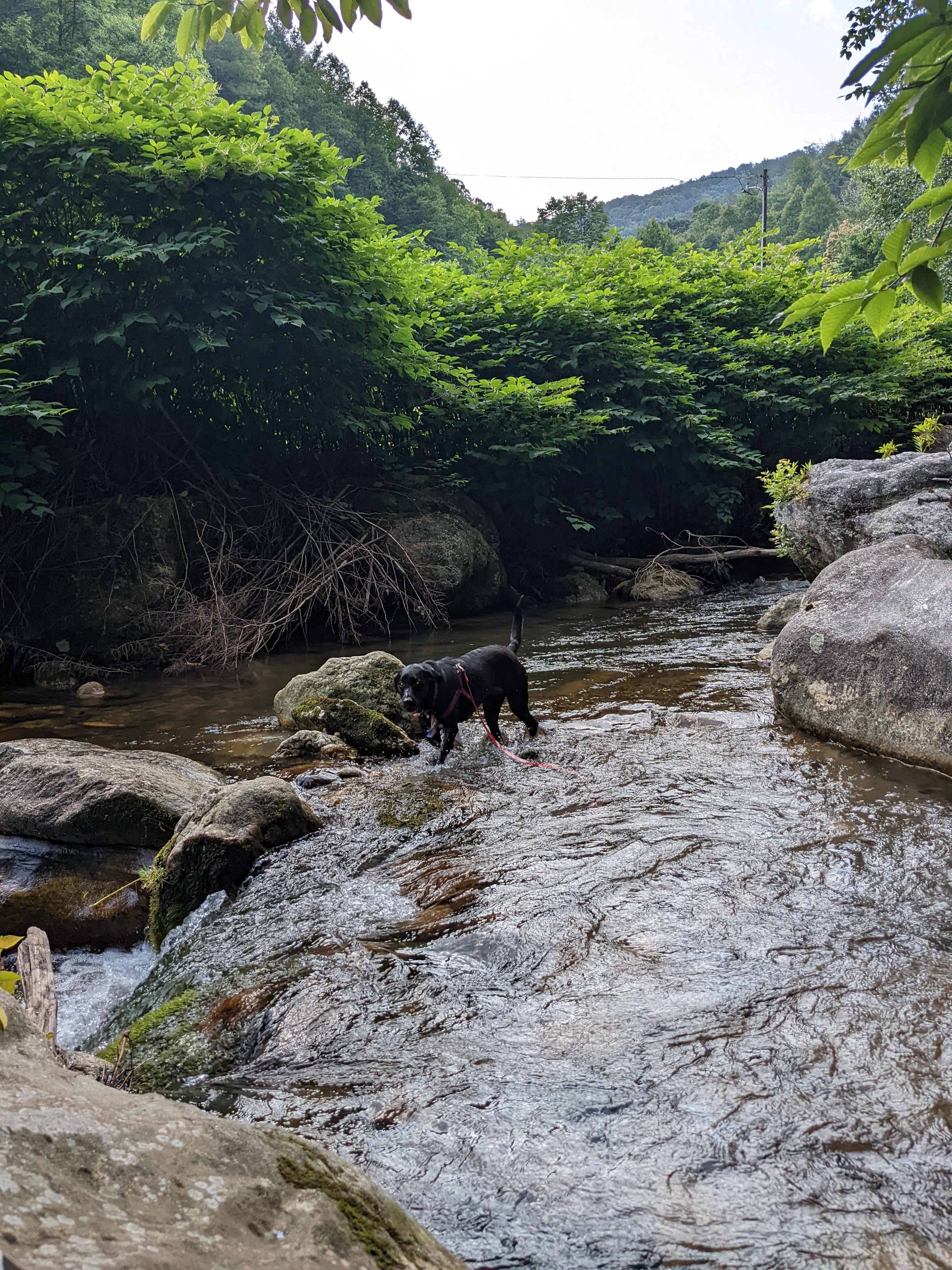 Rejuvenation River & Mtn Campsite