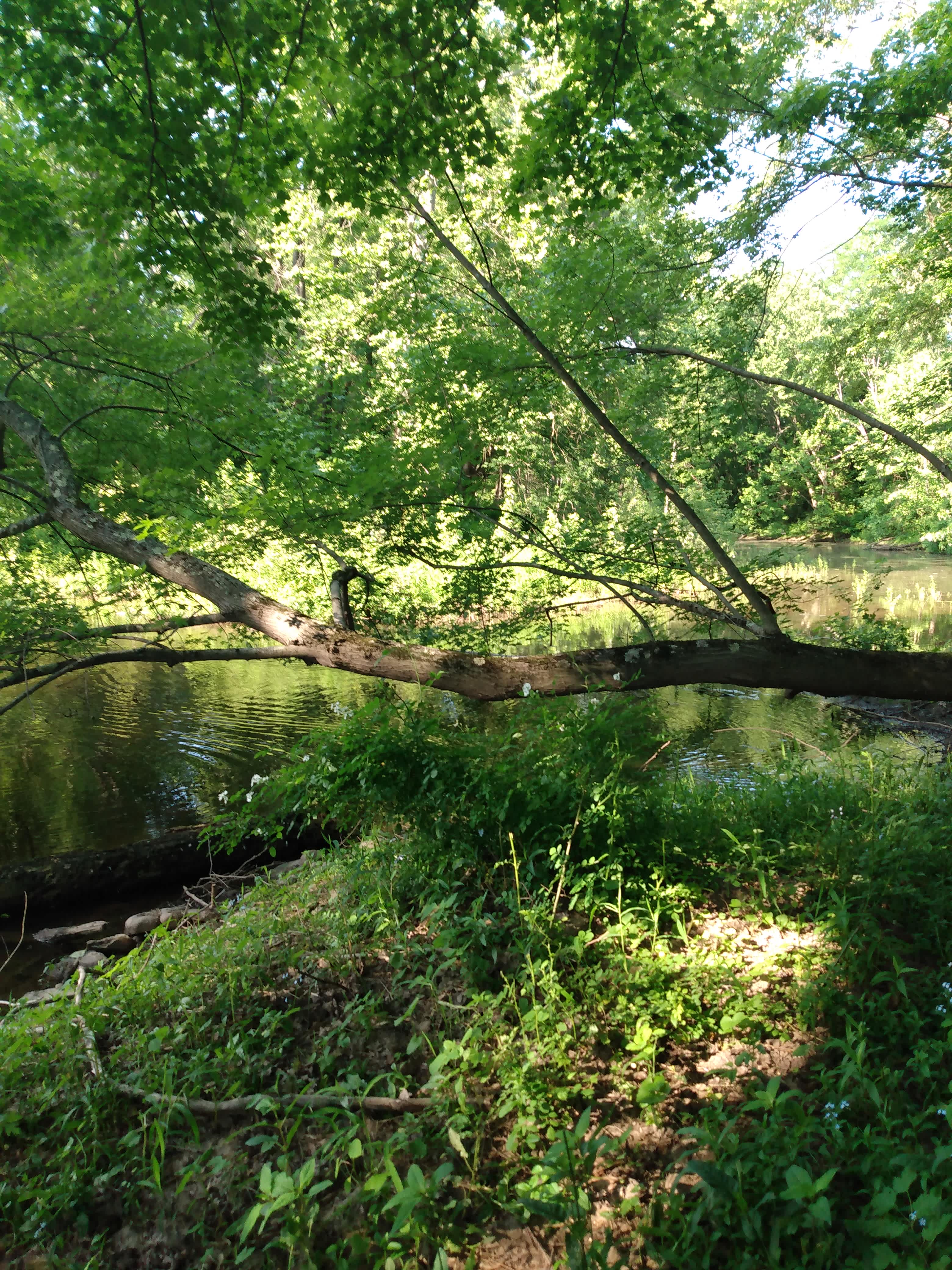 Crookerville Mill