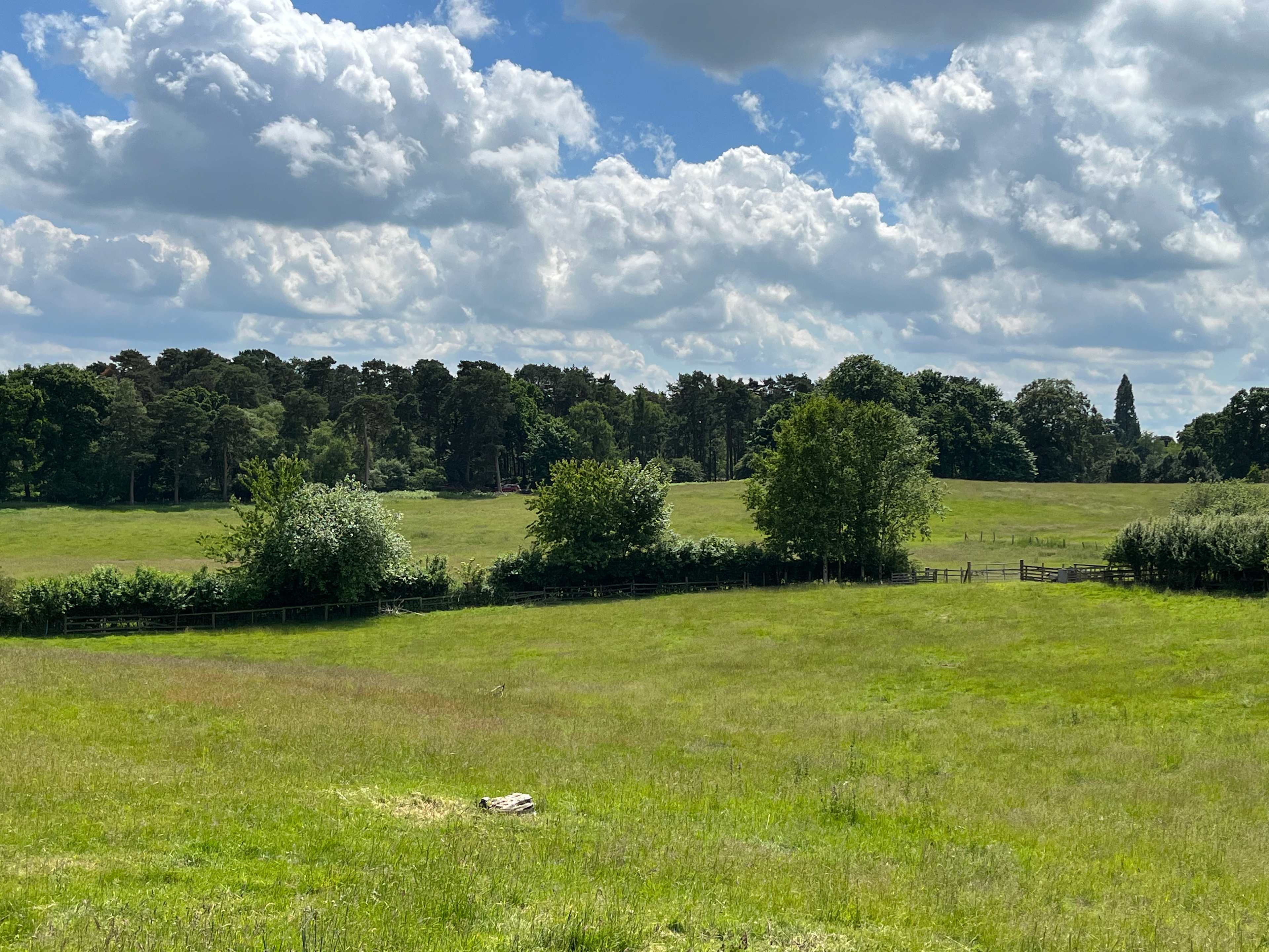 Cherry Orchard Farm
